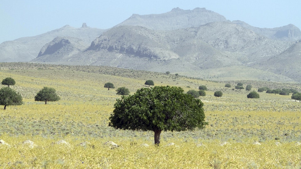 Wild Iran: To the North