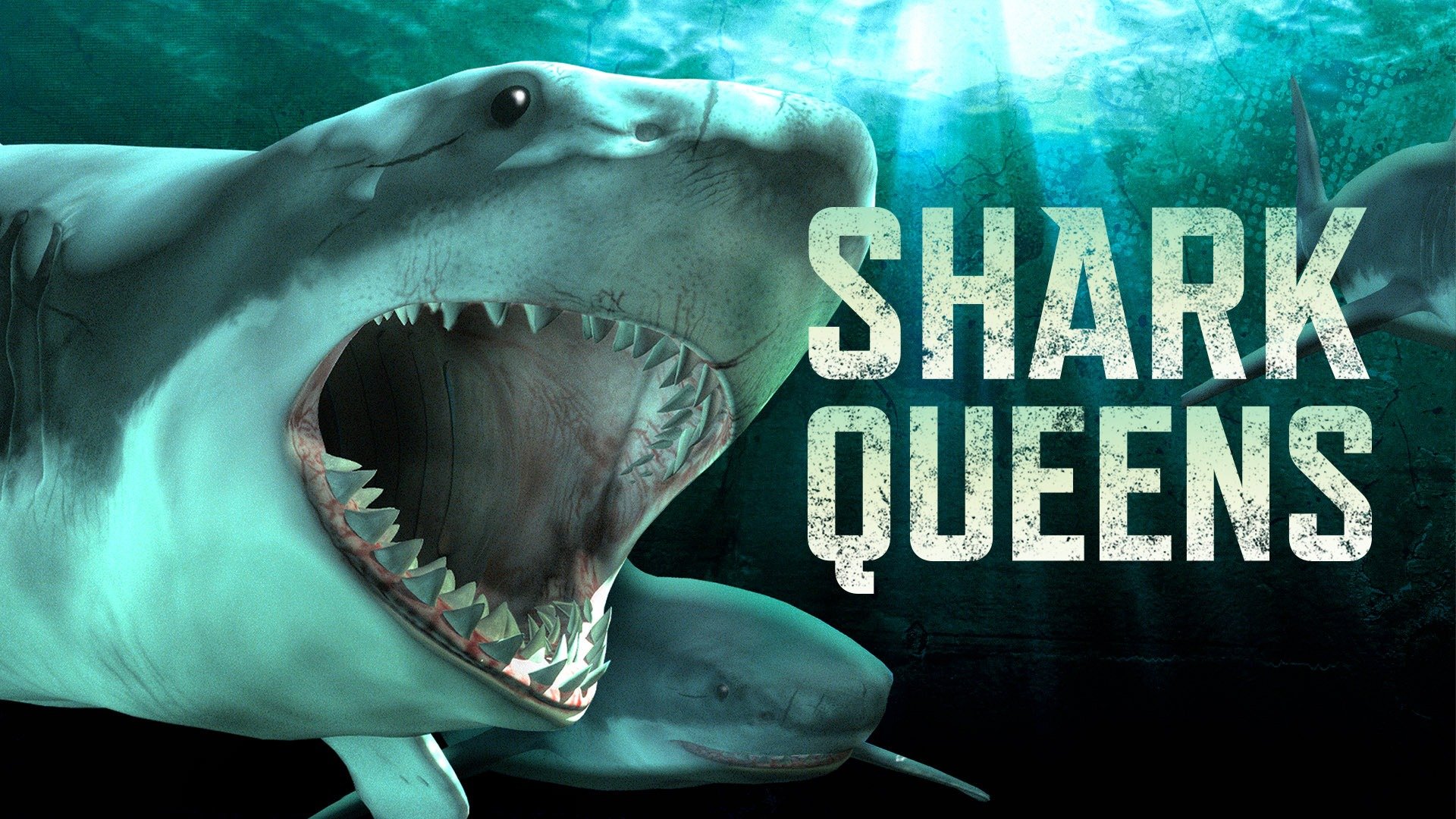 Shark Queens