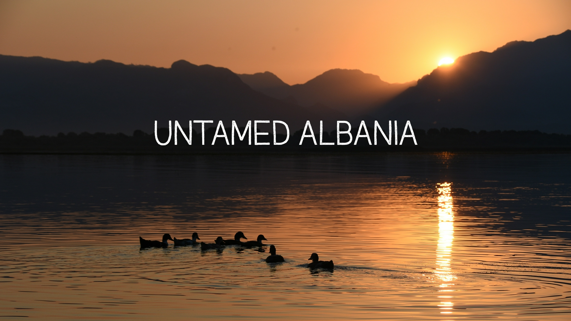 Untamed Albania