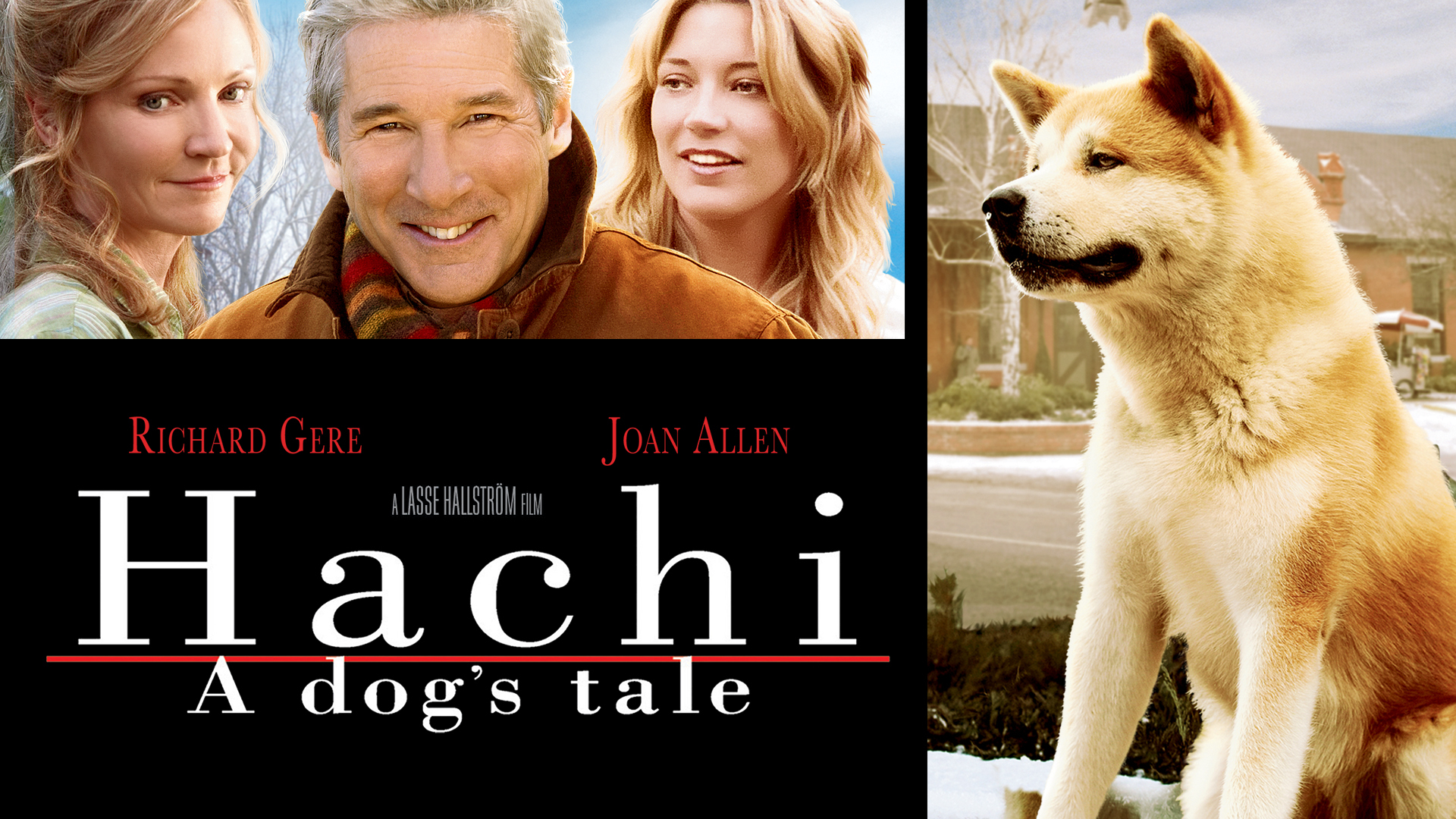 Hachi: A Dog's Tale