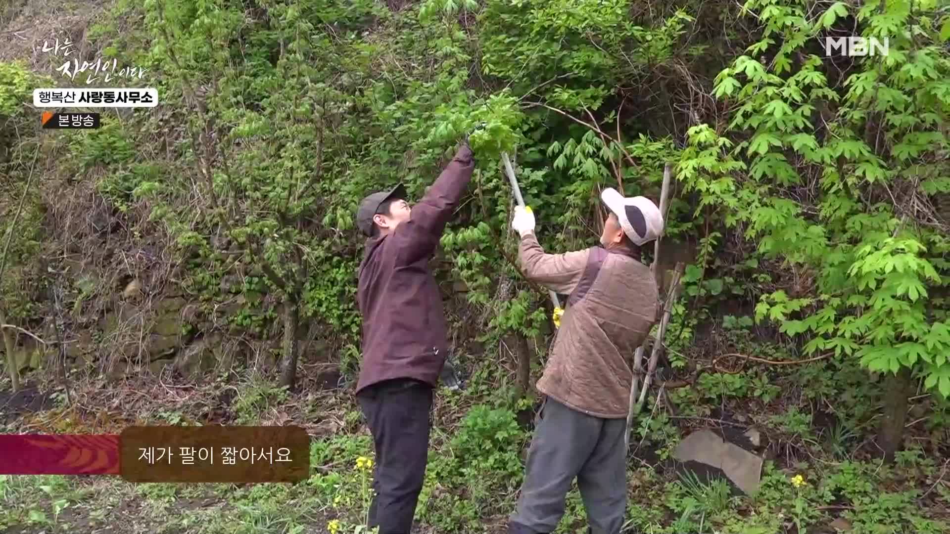 나는 자연인이다 552회