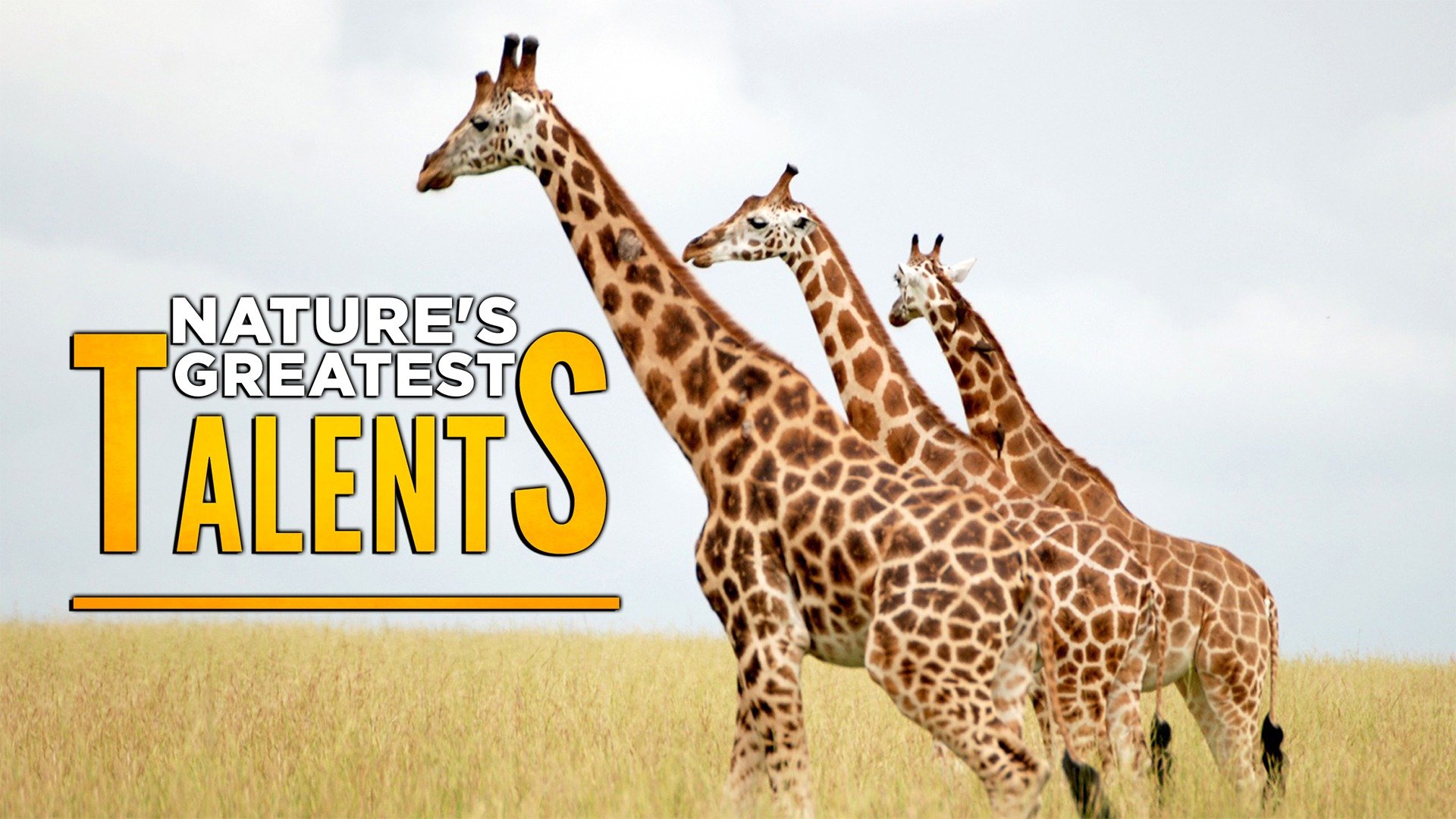 Nature's Greatest Talents