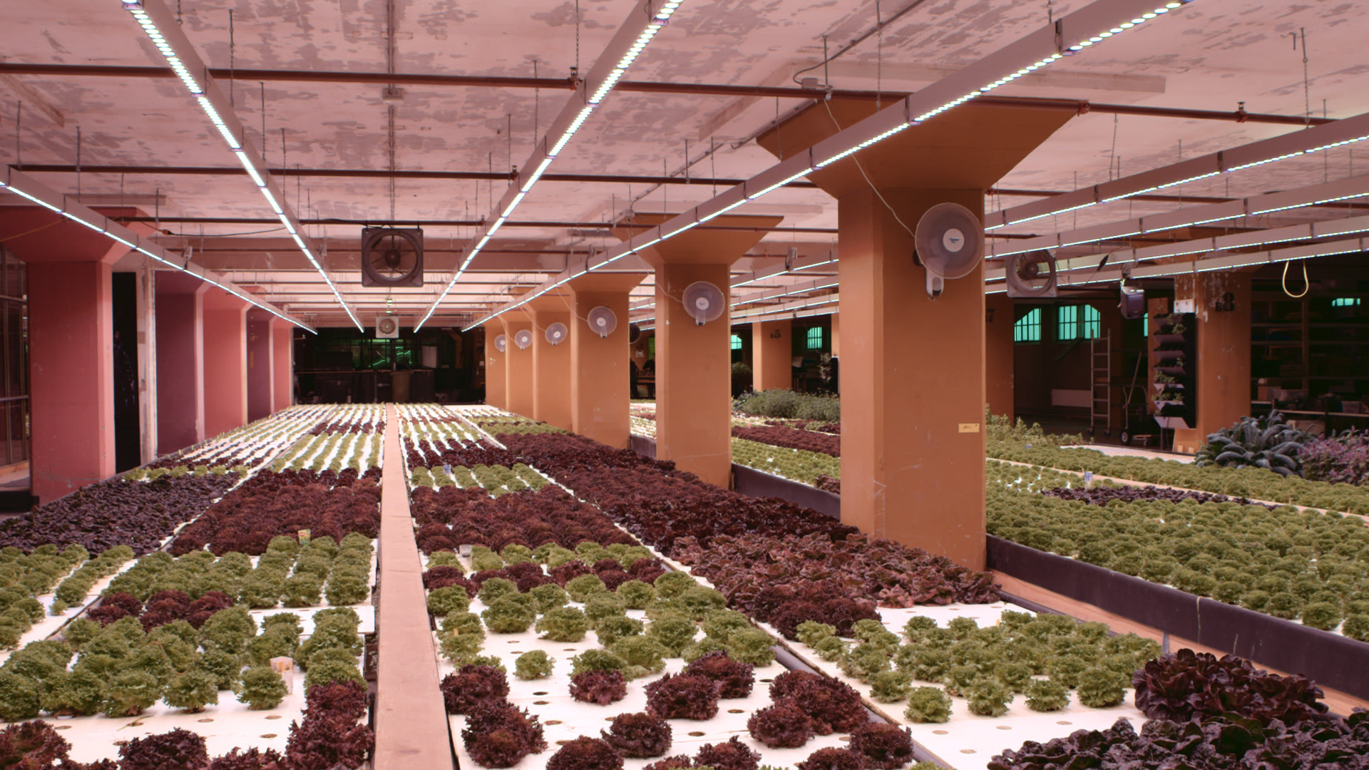 Future Proof Present