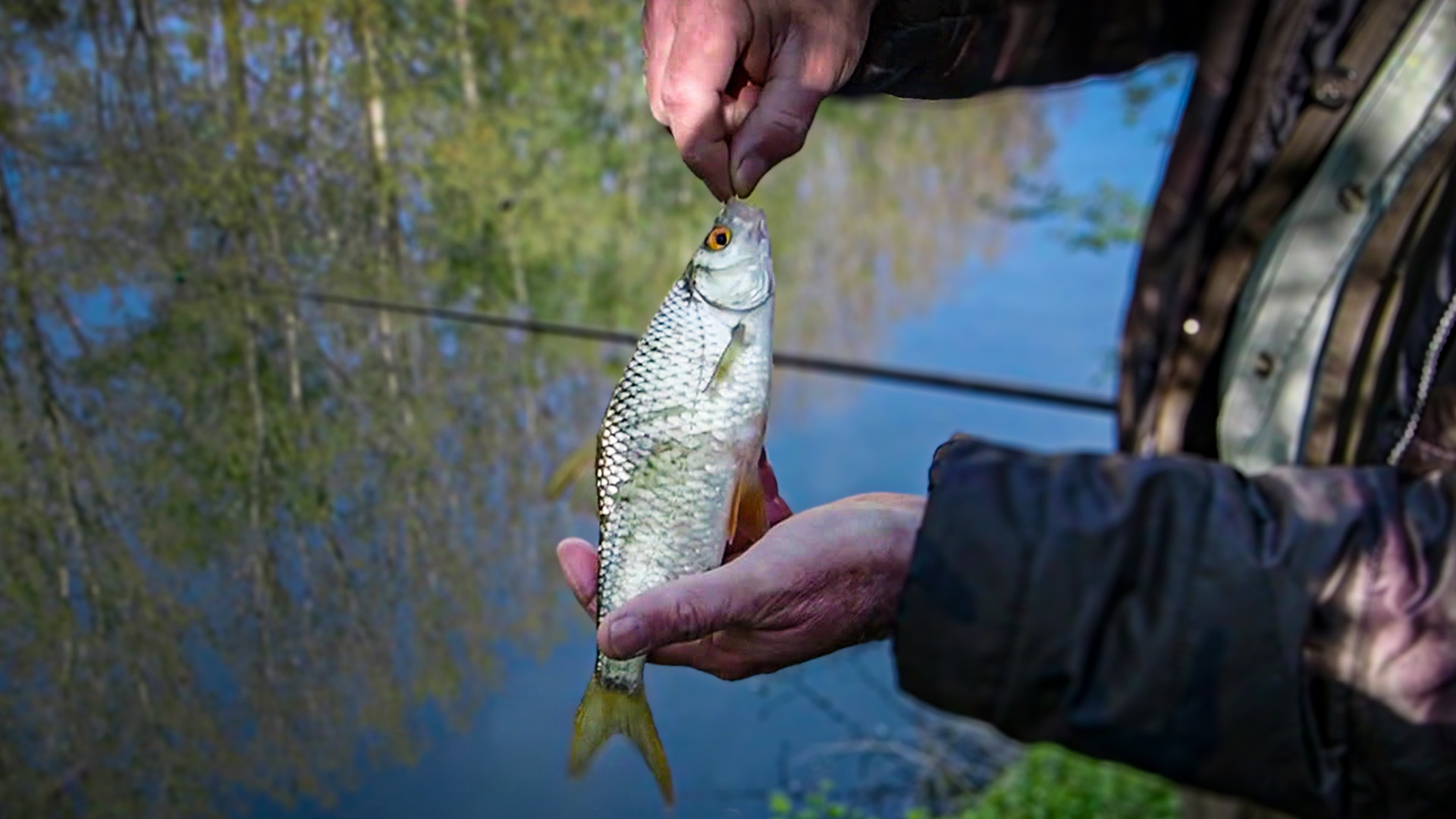 Unsere Fischbestände verschwinden lautlos!