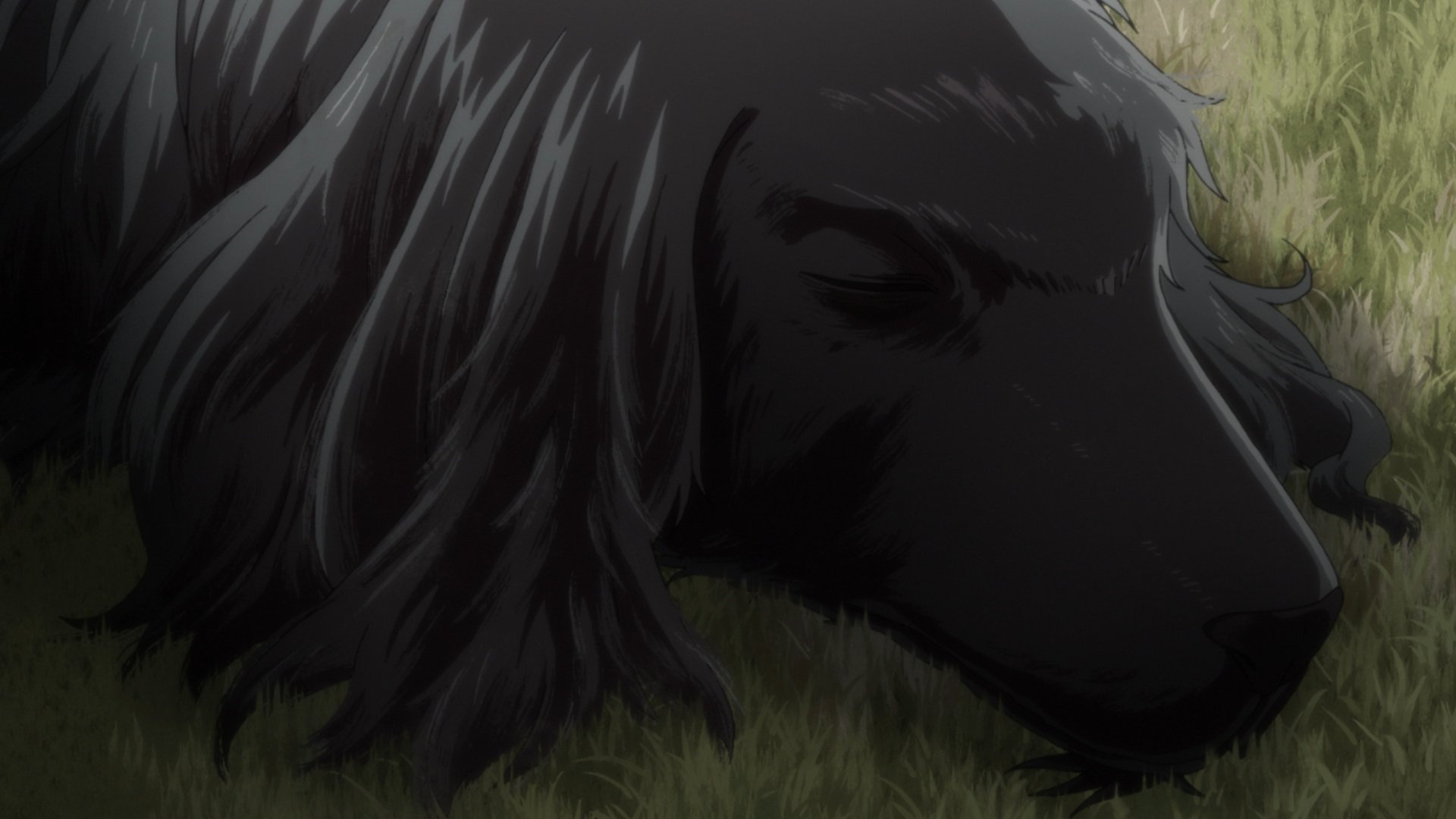 The ancient magus' bride