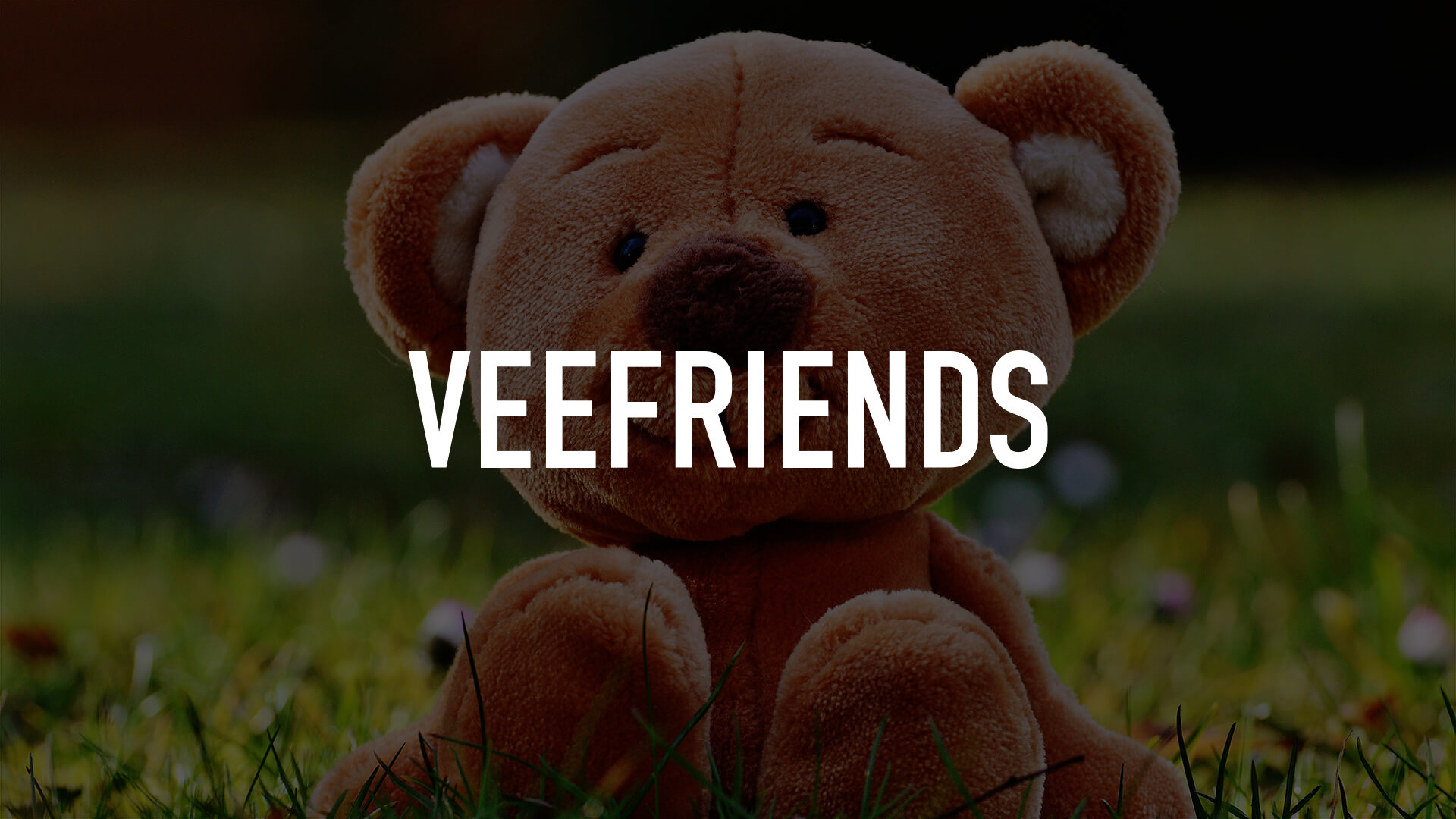 VeeFriends