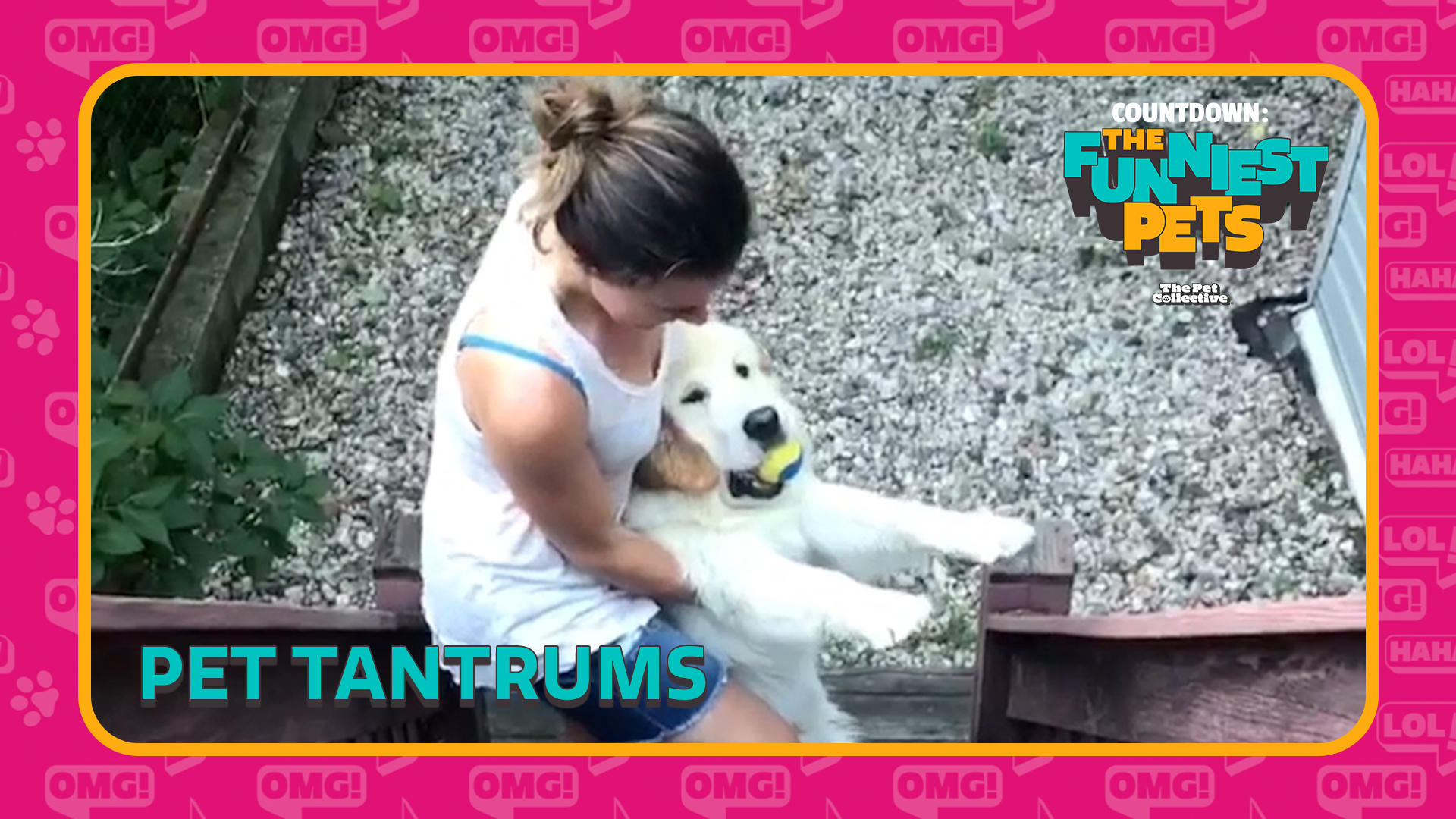 Countdown: The Funniest Pets