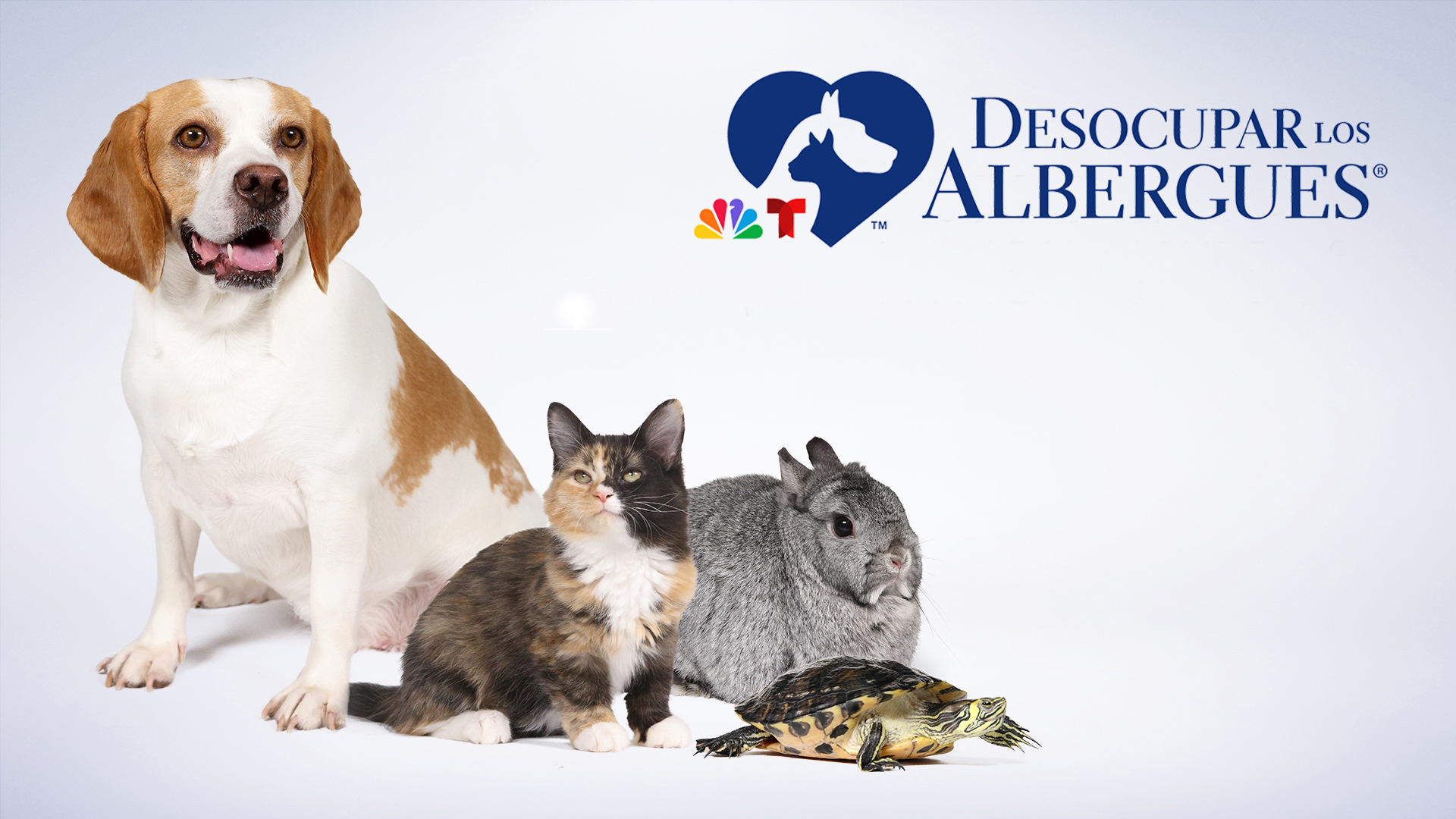 Desocupar los albergues