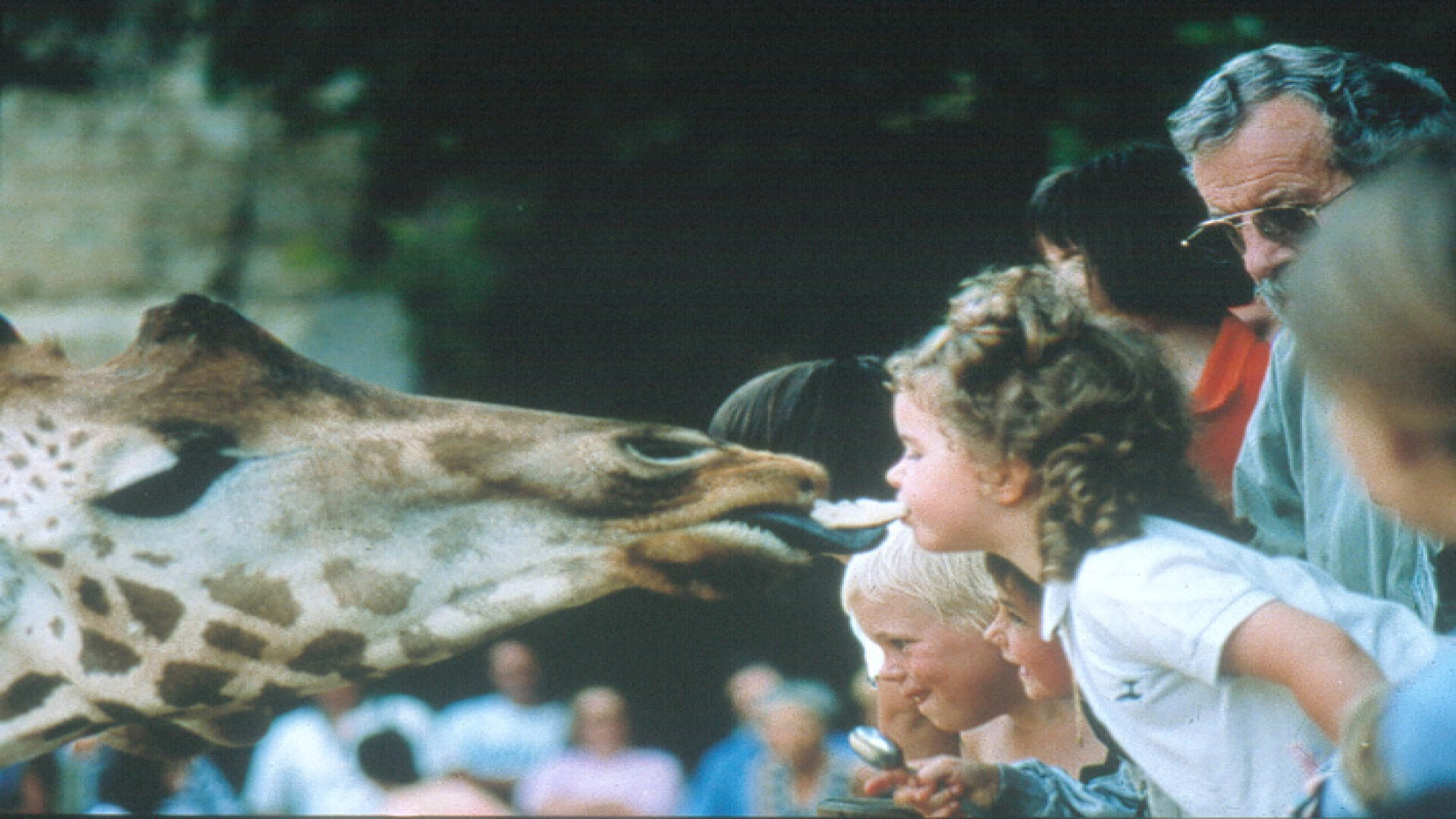 Une année au zoo de Doué