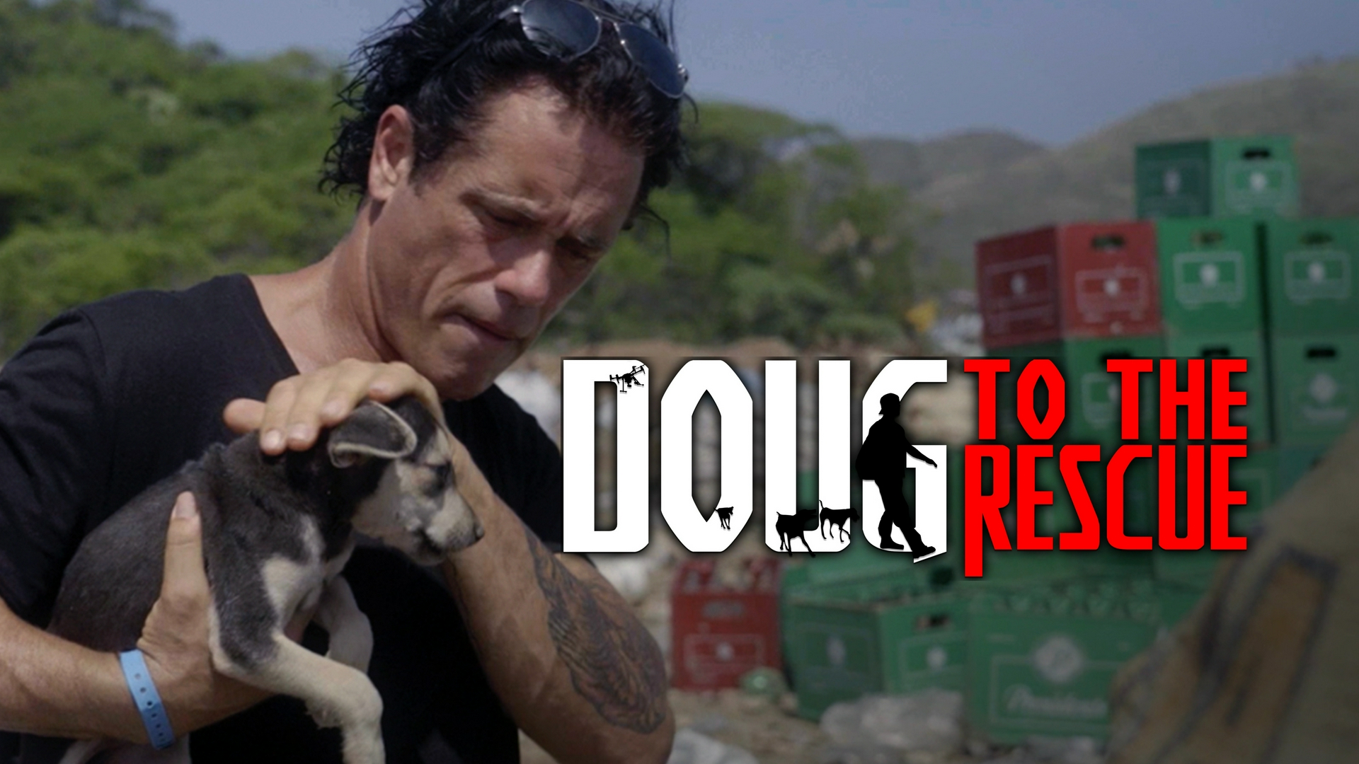 Los perros de la isla