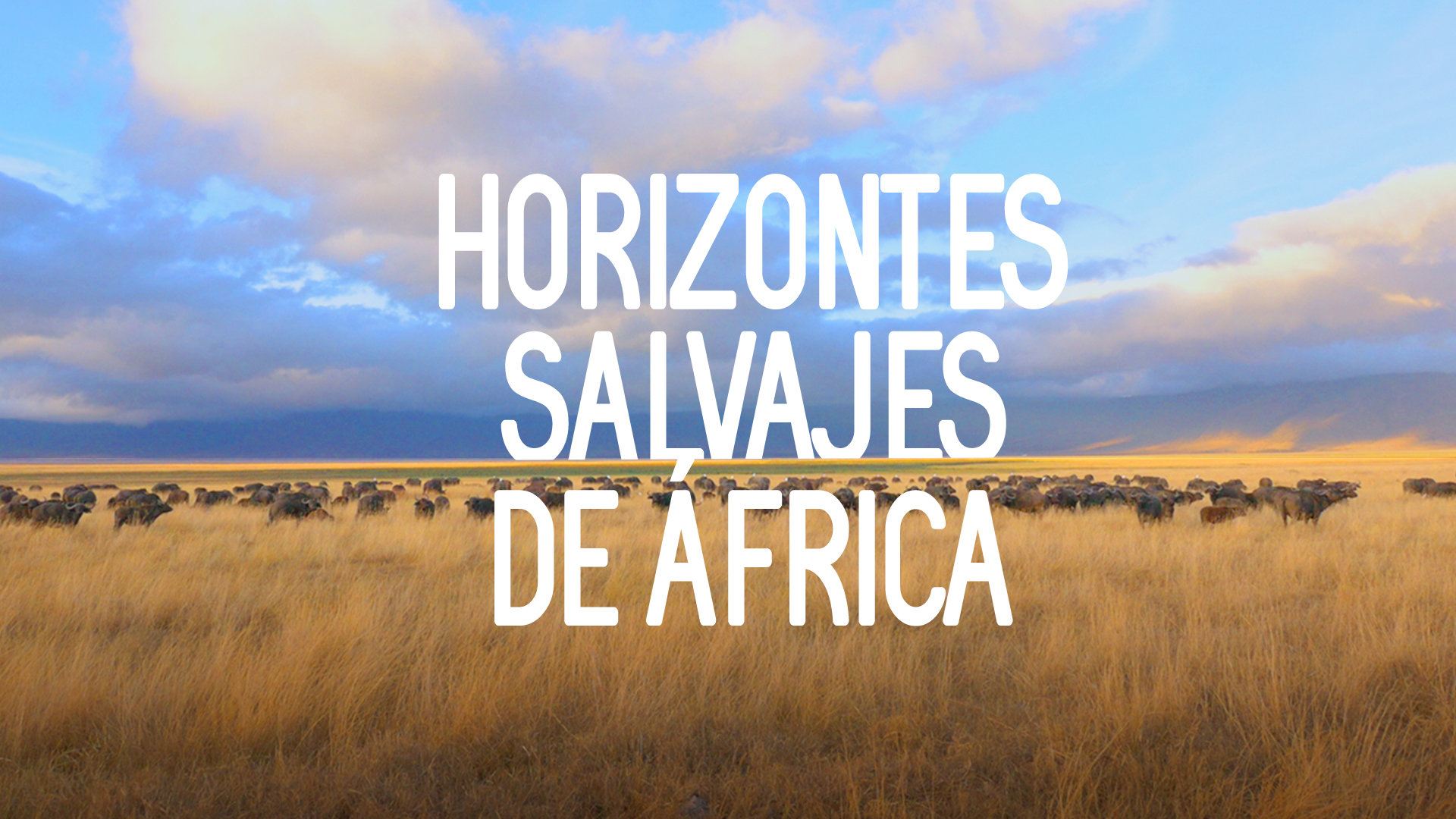 Horizontes Salvajes de África