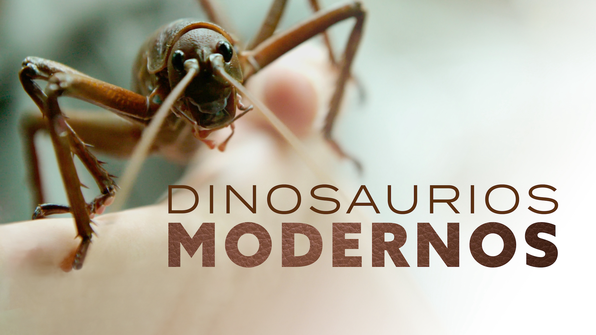 Dinosaurios modernos