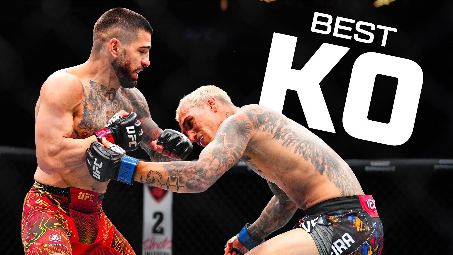 GREATEST KNOCKOUTS From 2025!