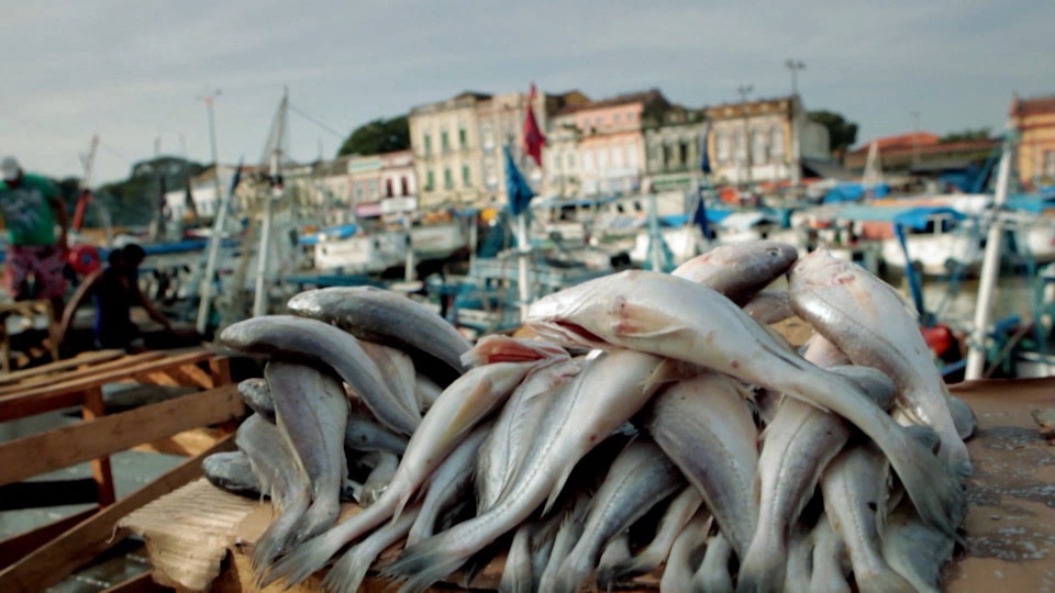 Anthony Bourdain – Eine Frage des Geschmacks