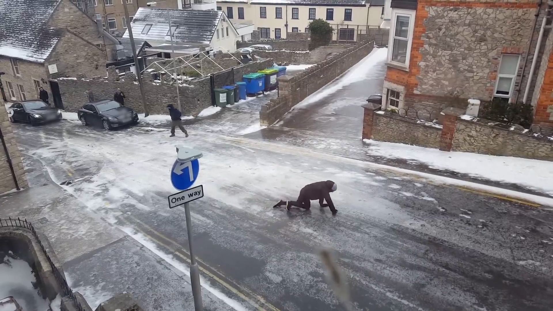 Humans VS. Everything