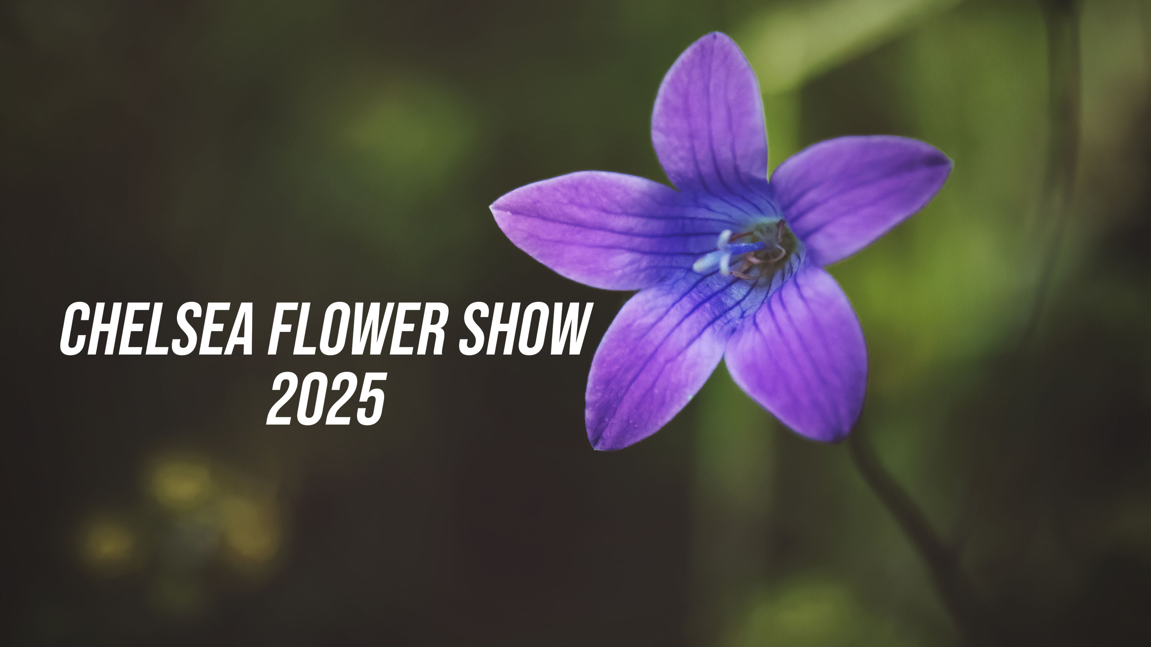 Chelsea Flower Show: 2025
