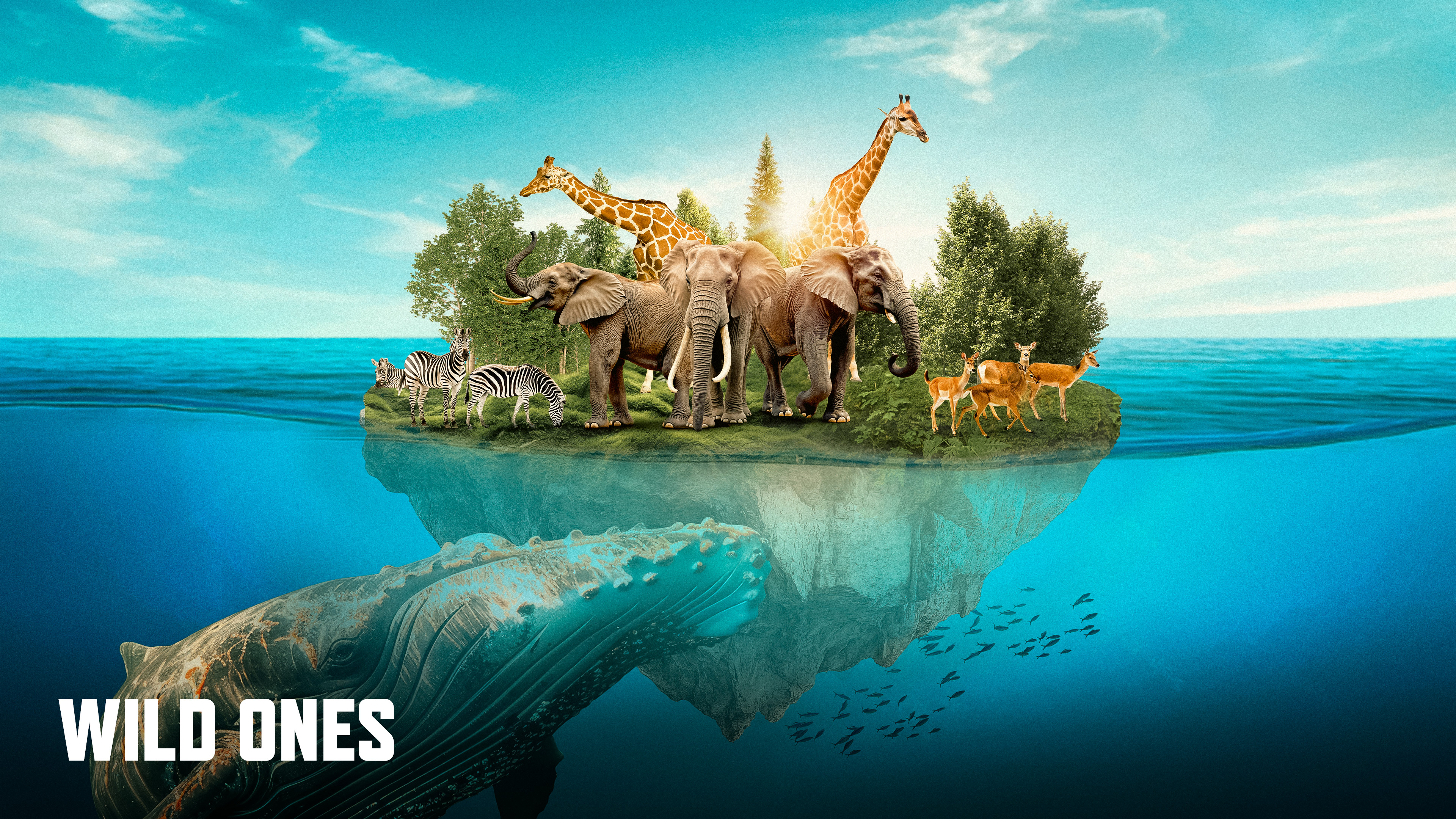 Wild Ones