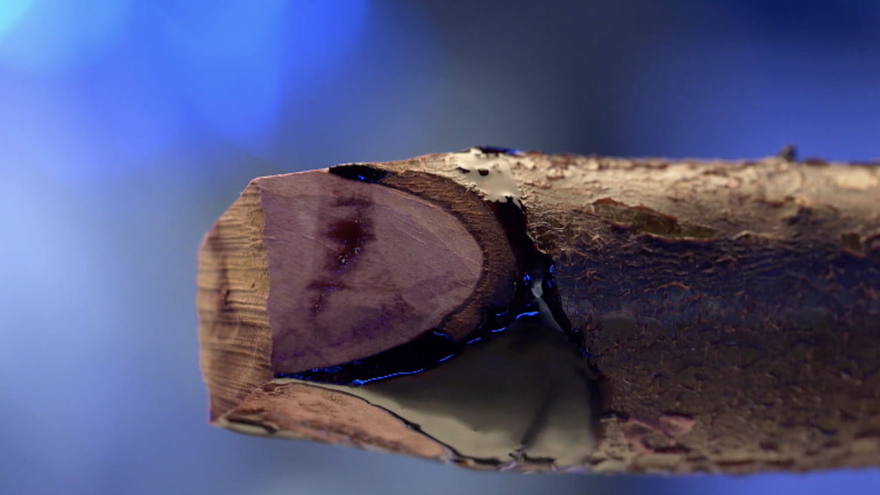 Cómo Resolver Un Crimen