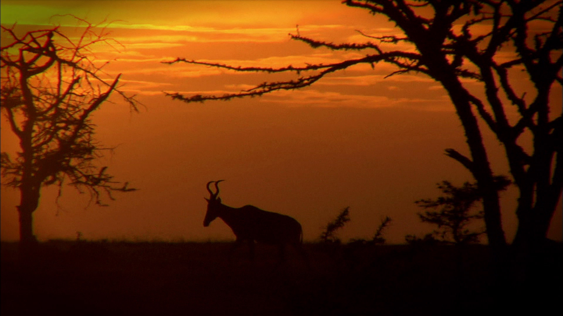 Diarios de OI Pejeta