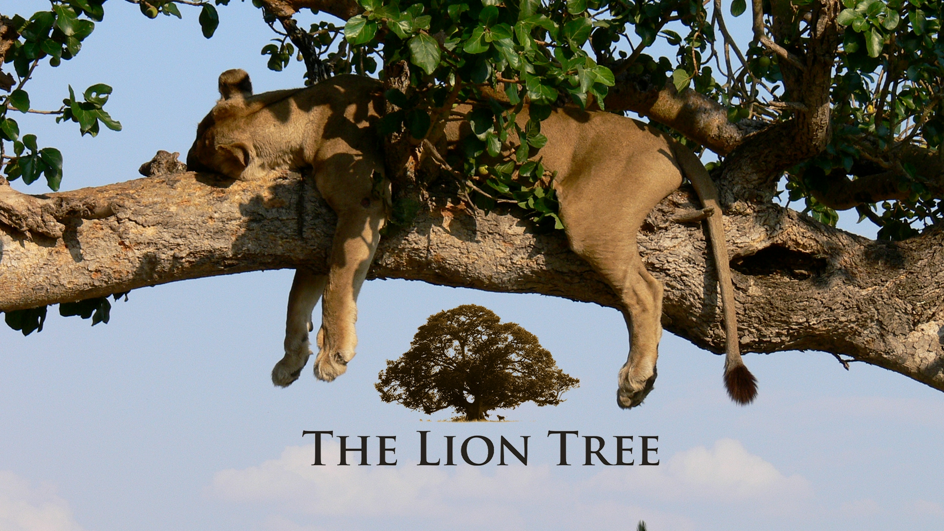The Lion Tree