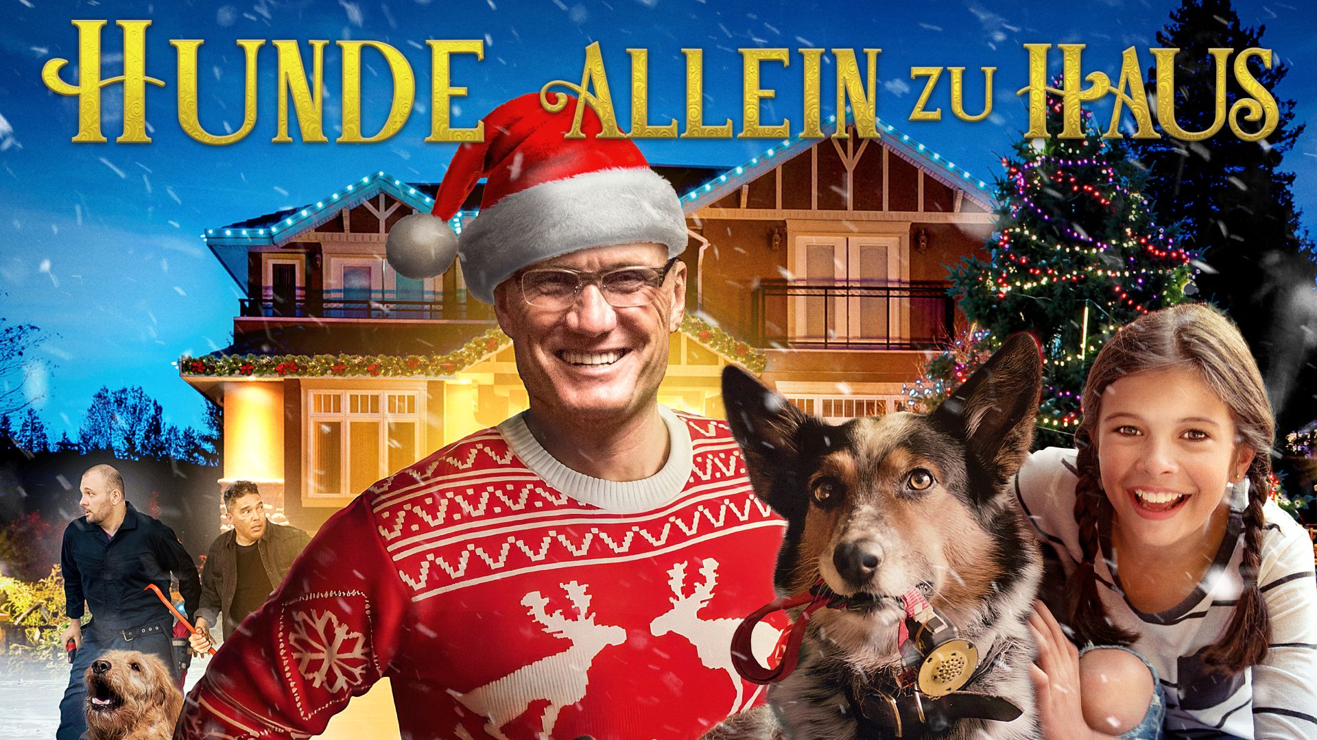 Hunde: Allein zu Haus
