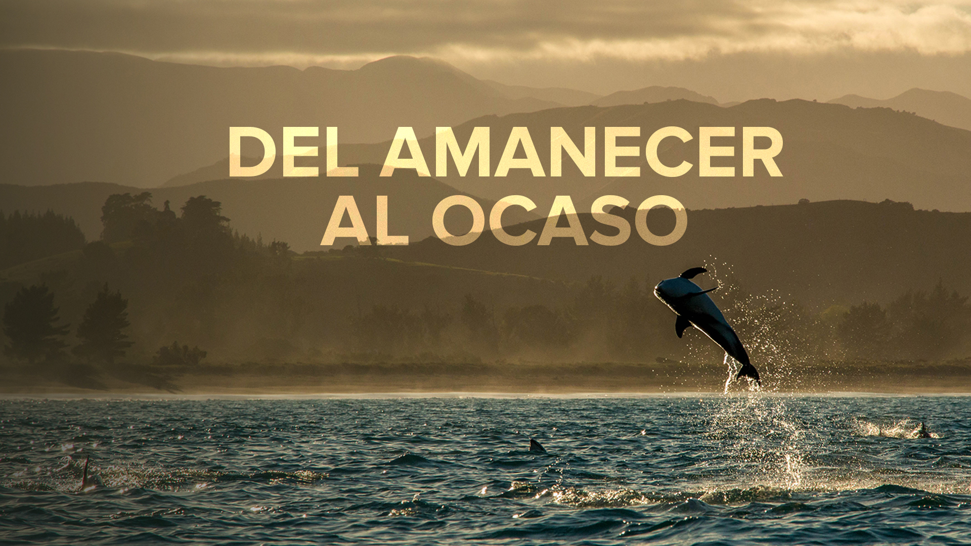 Del amanecer al ocaso