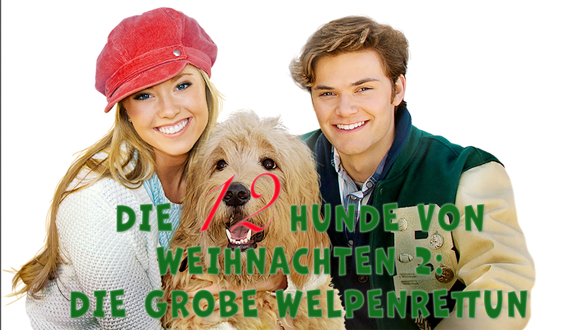 Die 12 Hunde von Weihnachten 2: Die grobe Welpenrettun
