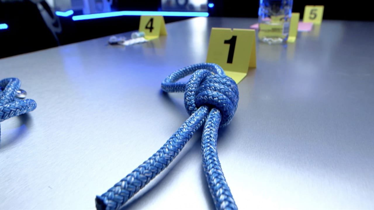 Cómo Resolver Un Crimen