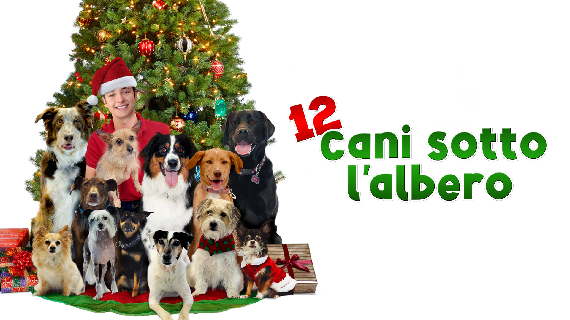 12 Dog Days Till Christmas