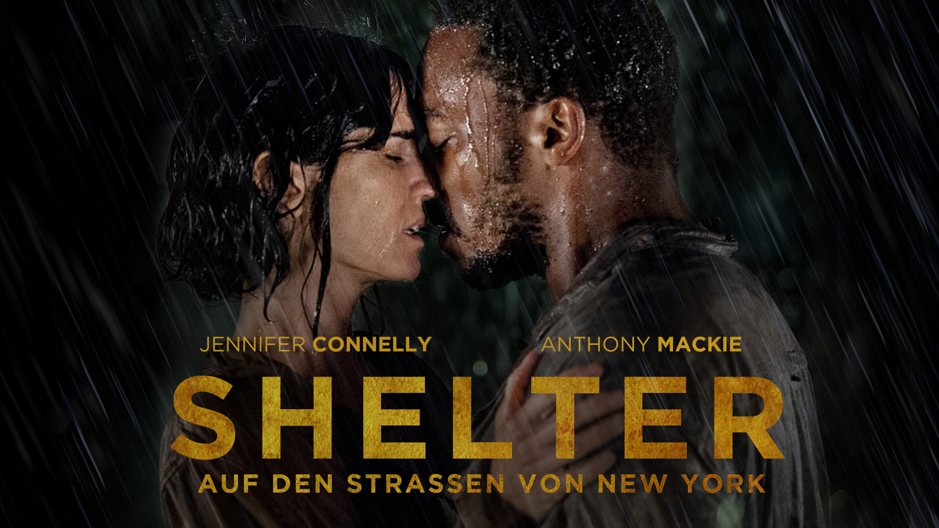 Shelter