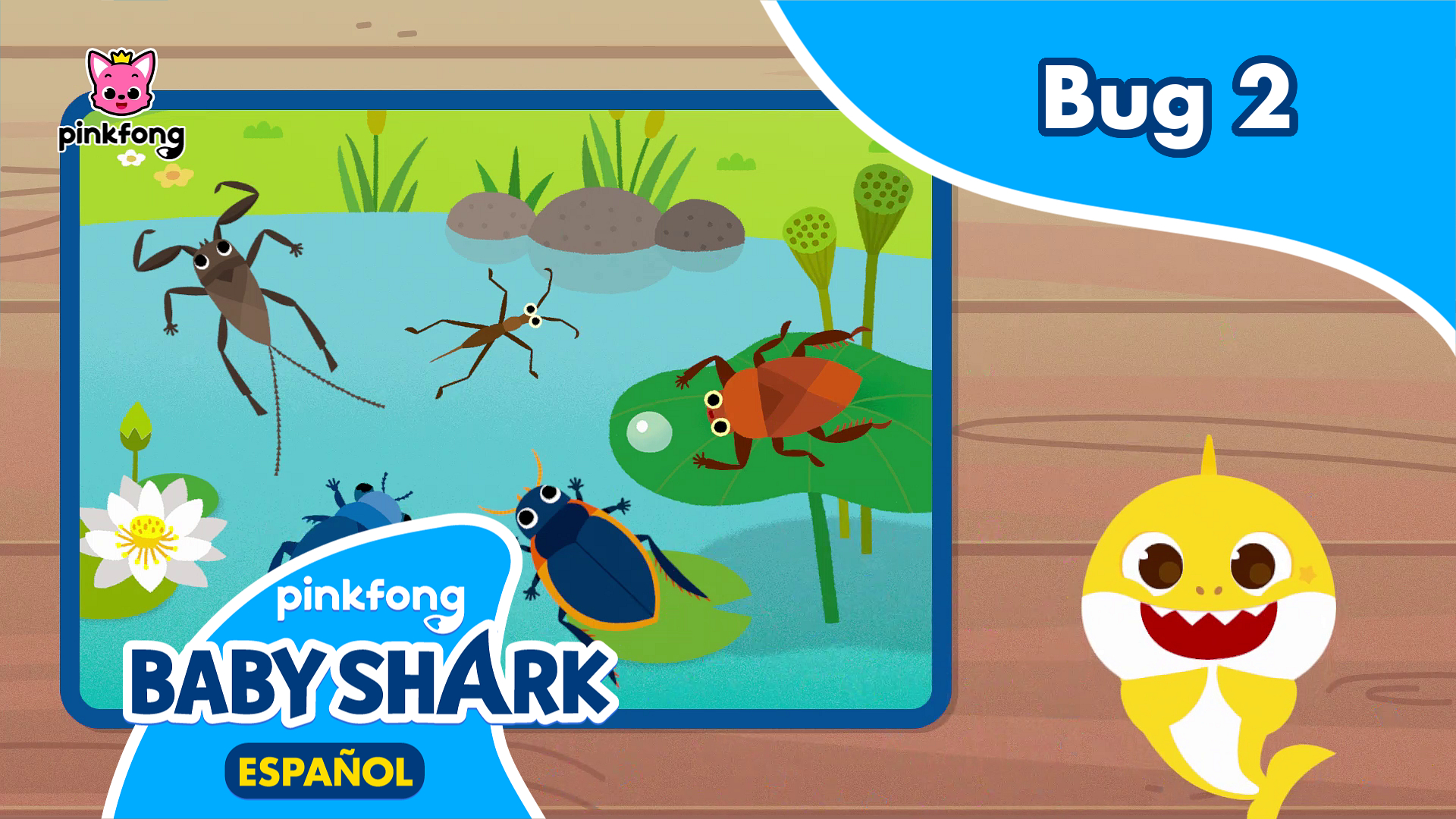 Al Escondite con Tiburón Bebé Bug 2