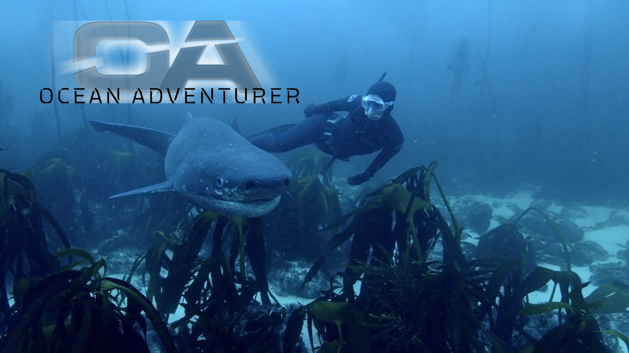 Ocean Adventurer: Jess