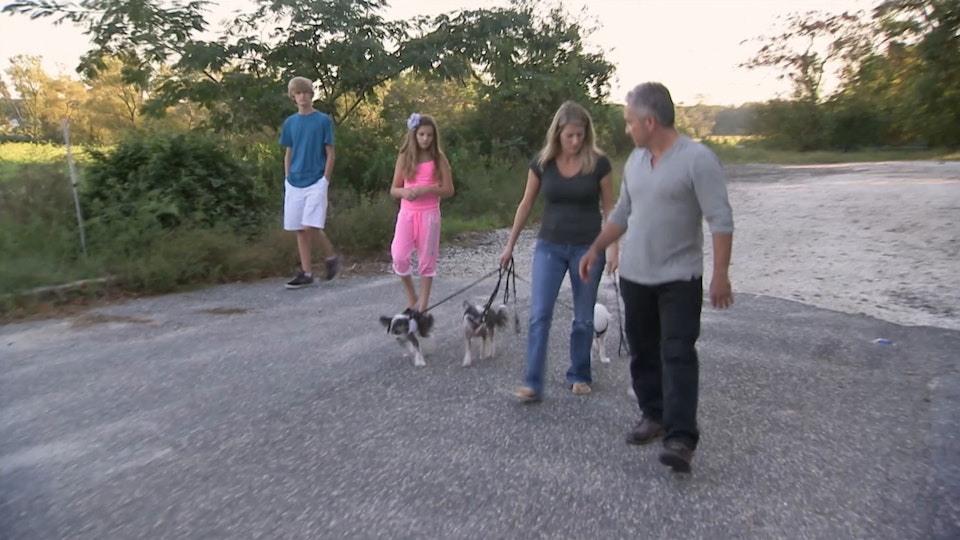 El encantador de perros