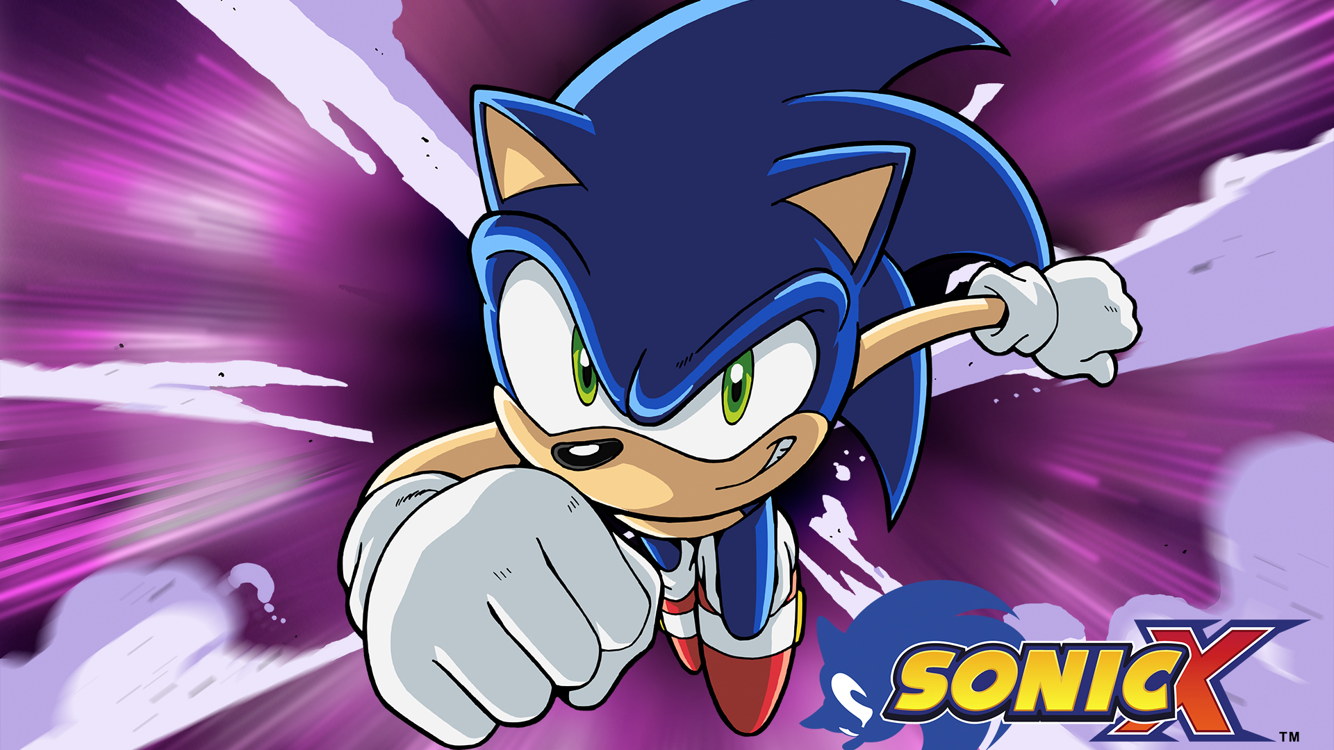 Sonic X Widerstandskämpfer