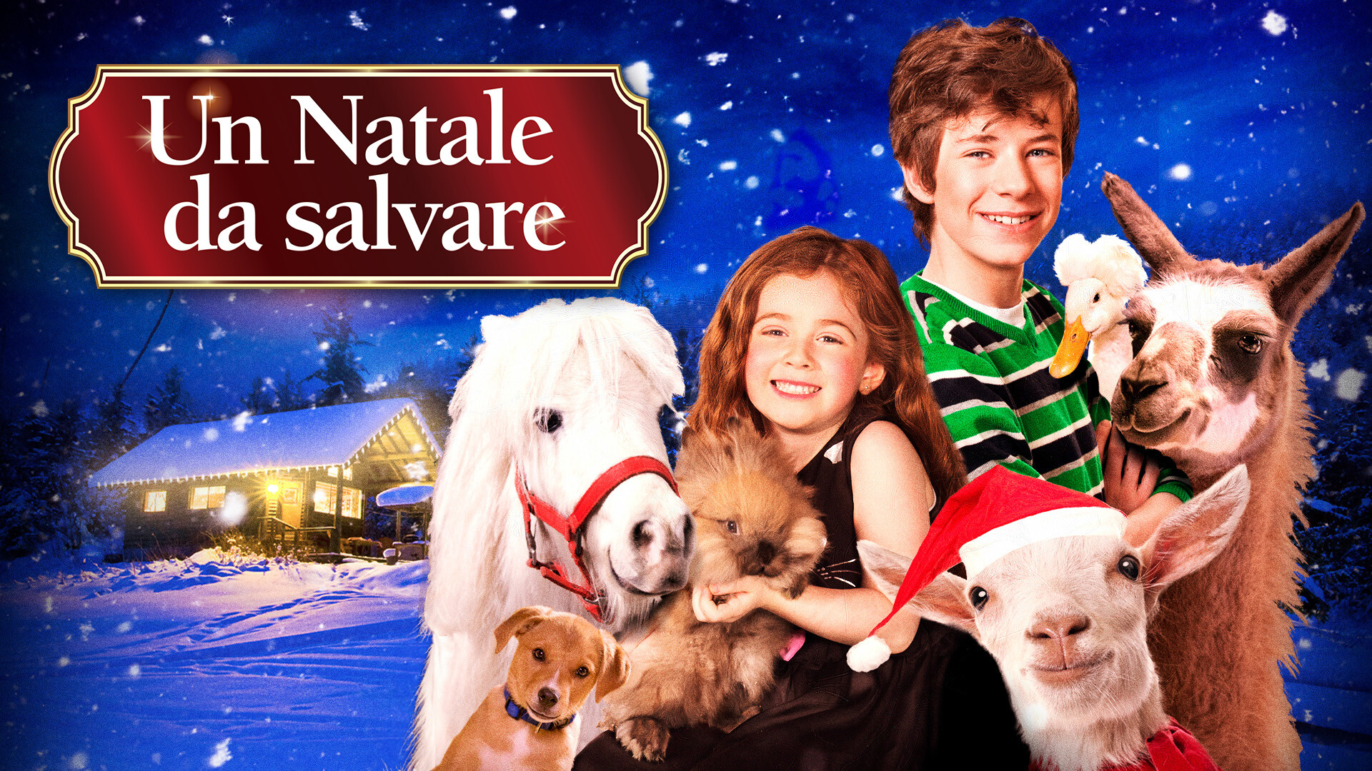 Un Natale da salvare