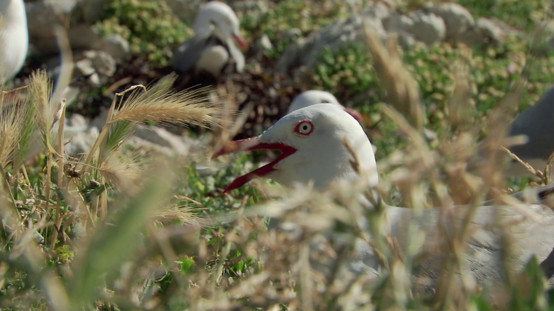 Notre grand jardin bleu