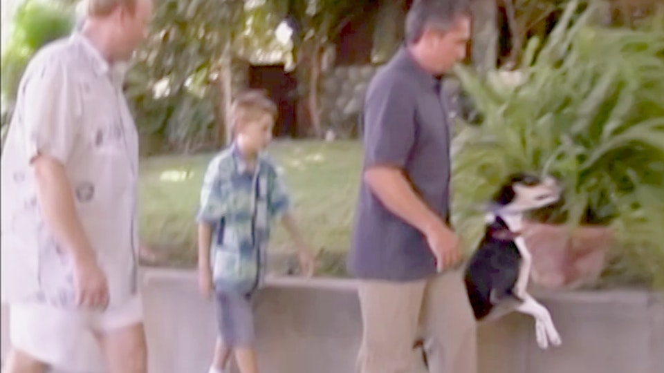 El encantador de perros