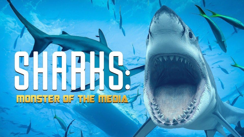 Sharks: Monster of the Media