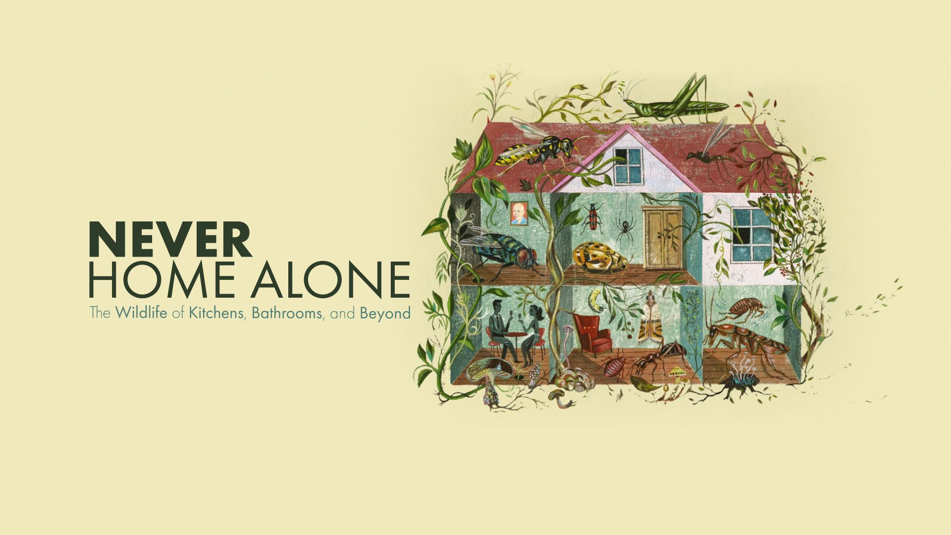 Nunca solos en casa: nuestros pequeños compañeros animales