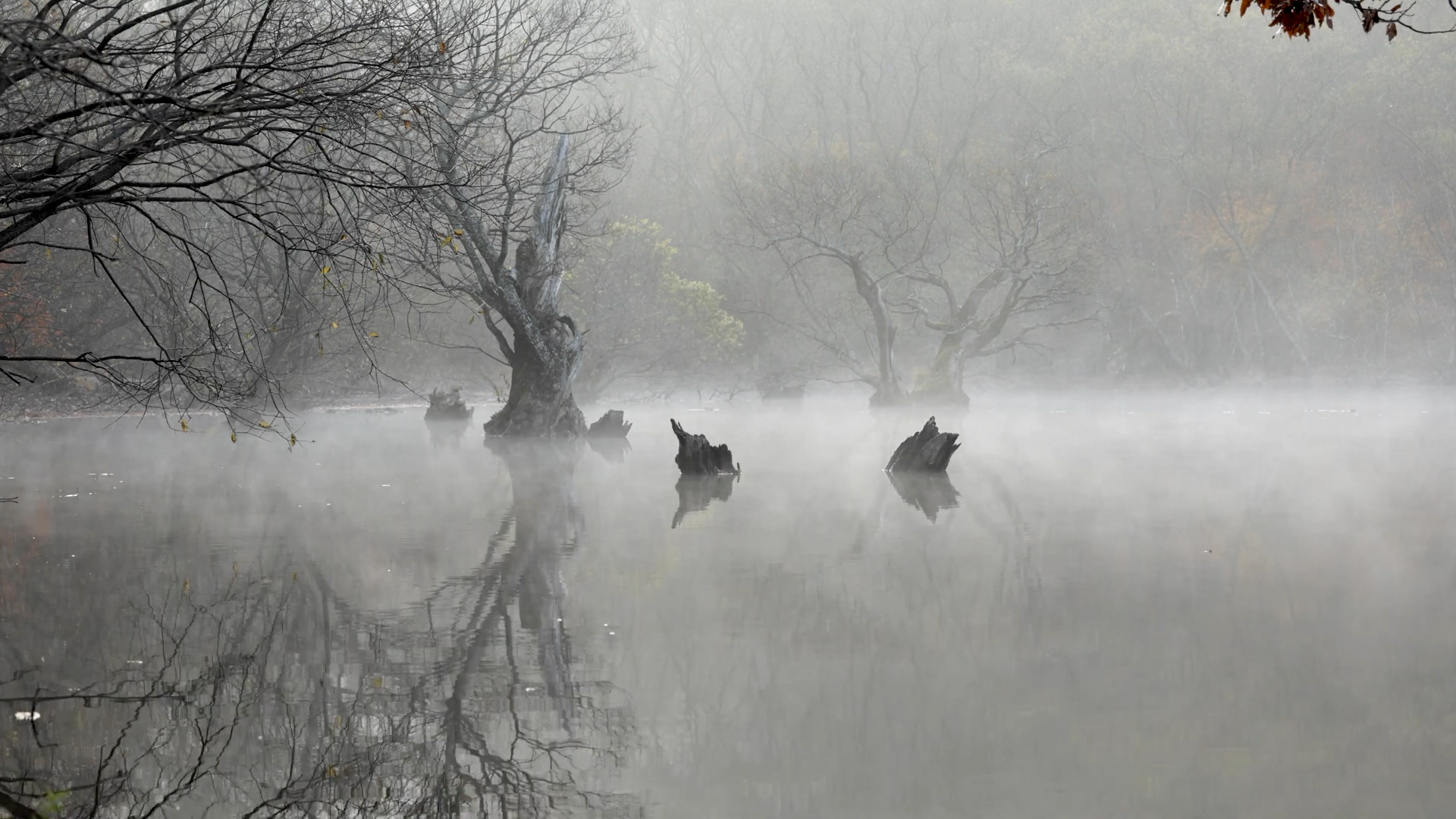 [신비롭고 아름다운 비경] 청송 주산지 EP.1