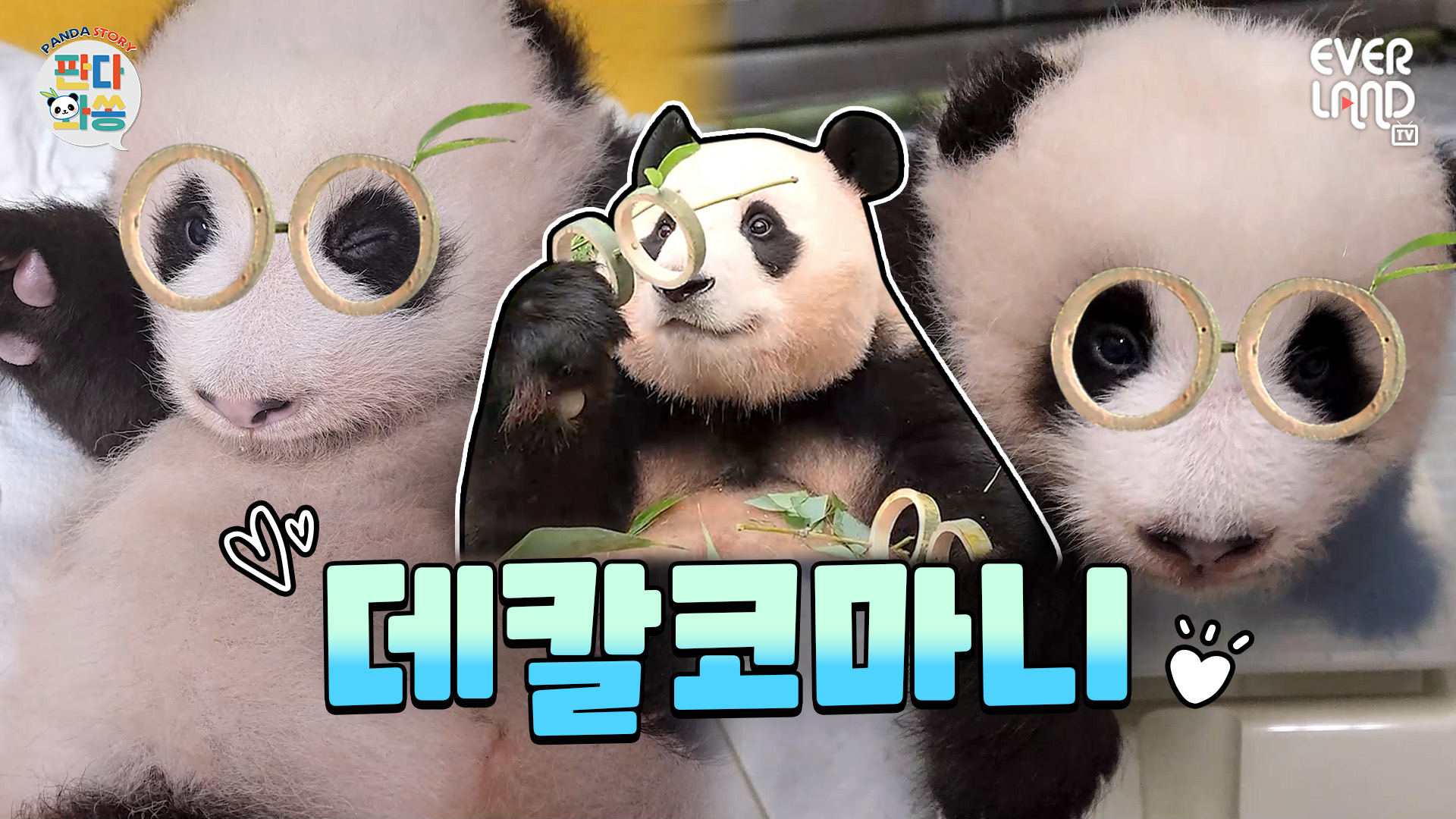 2주 만에 돌아와 여러분의 마음을 사르르 녹여버릴 125회