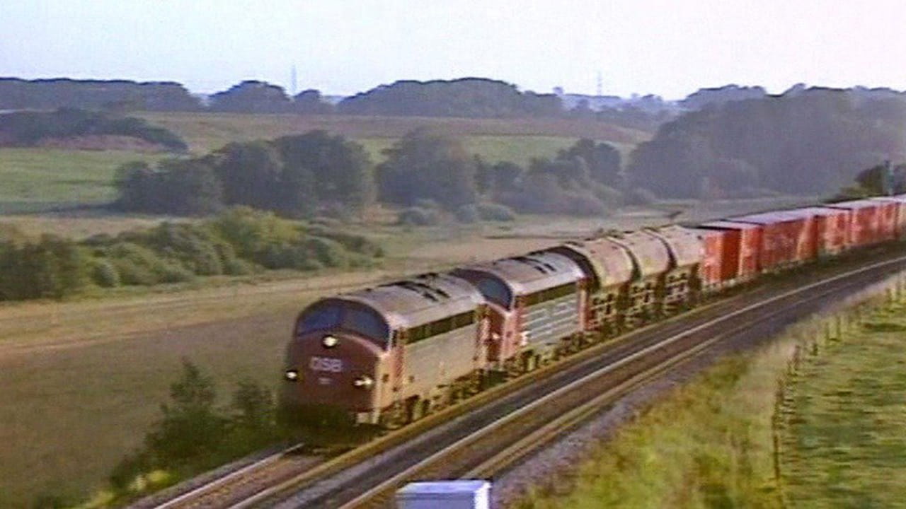 Bloodline Detectives hosted by Nancy Grace