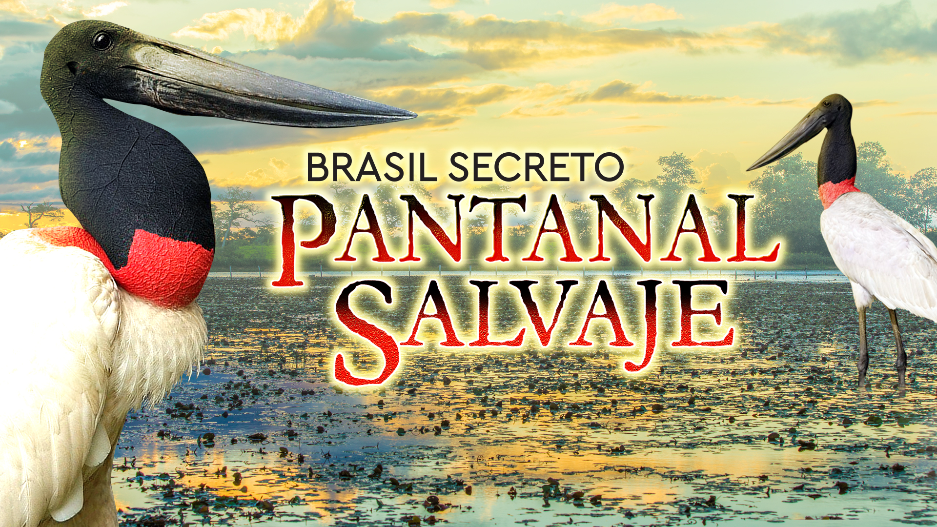 Brasil secreto: Pantanal salvaje
