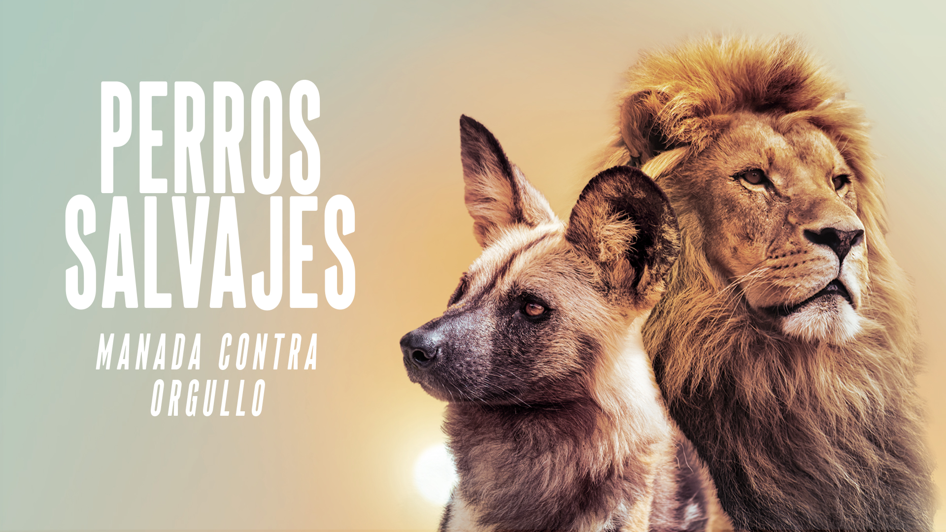 Perros salvajes: manada contra orgullo