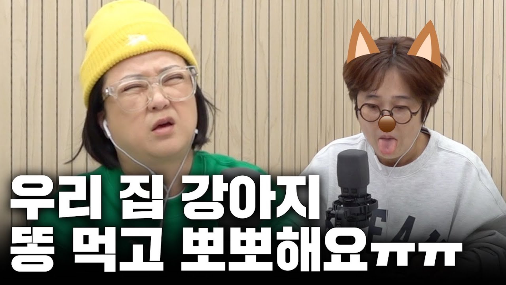 식분증에 뽀뽀까지?! 견주들의 고민은 해결했지만 수의사쌤의 고민은 쌓여가