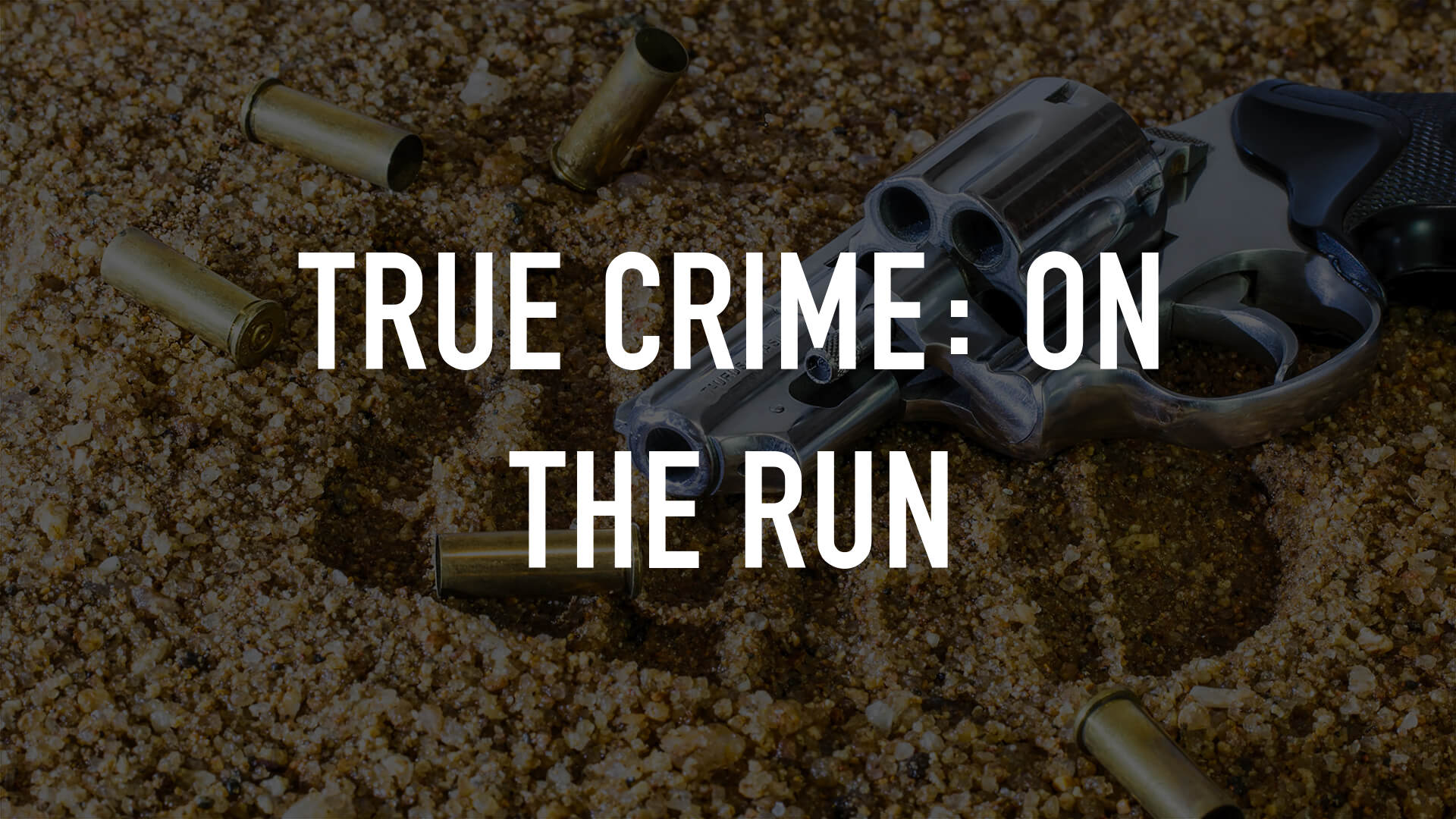 True Crime: On the Run