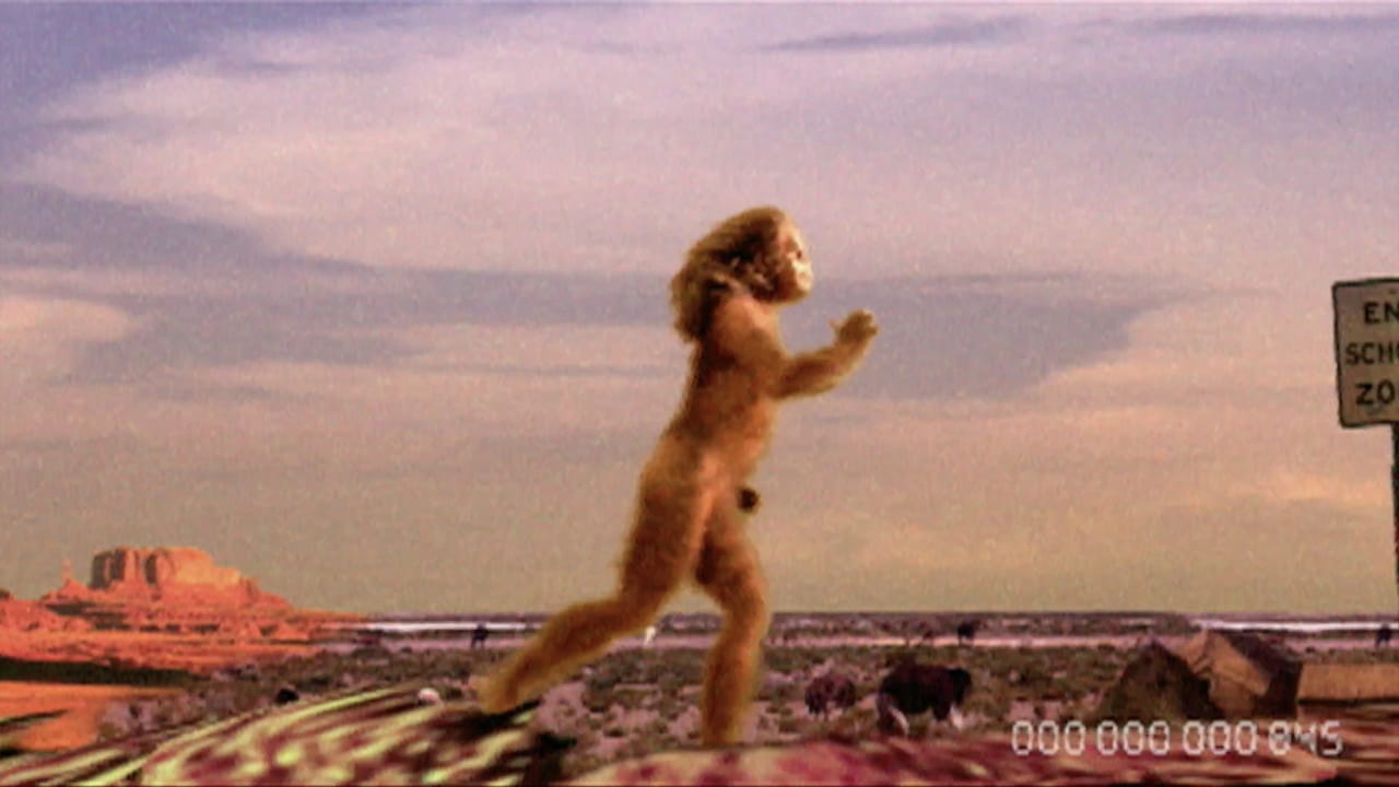 Video Killed the Radio Stars