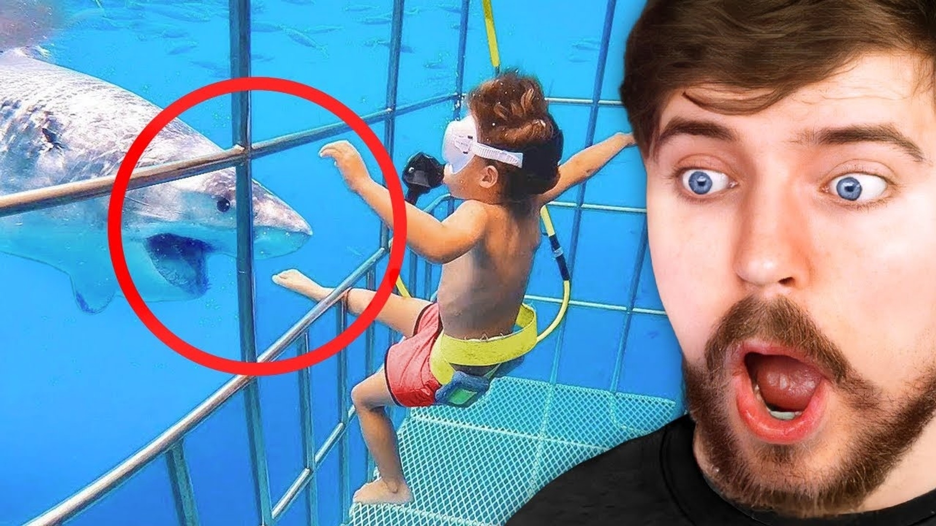 Moments Before Disaster