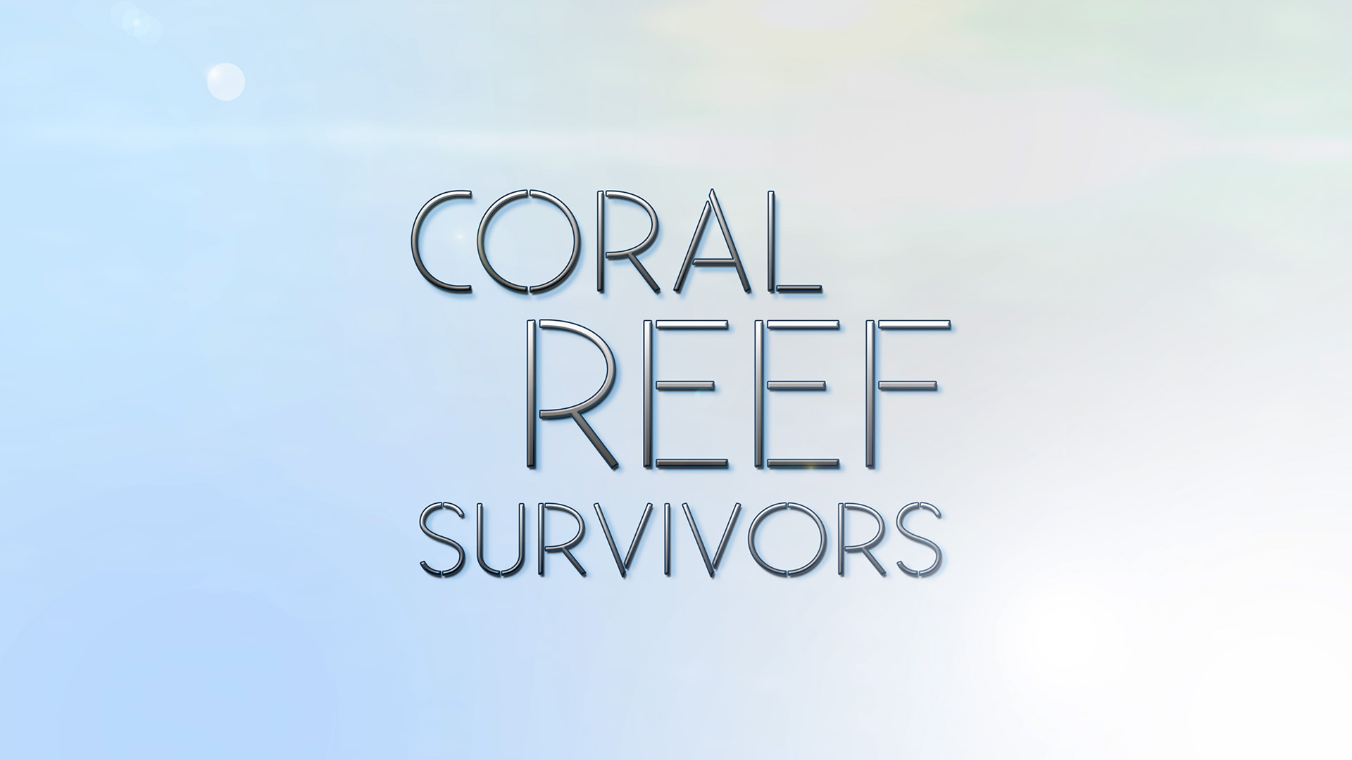 Coral Reef Survivors