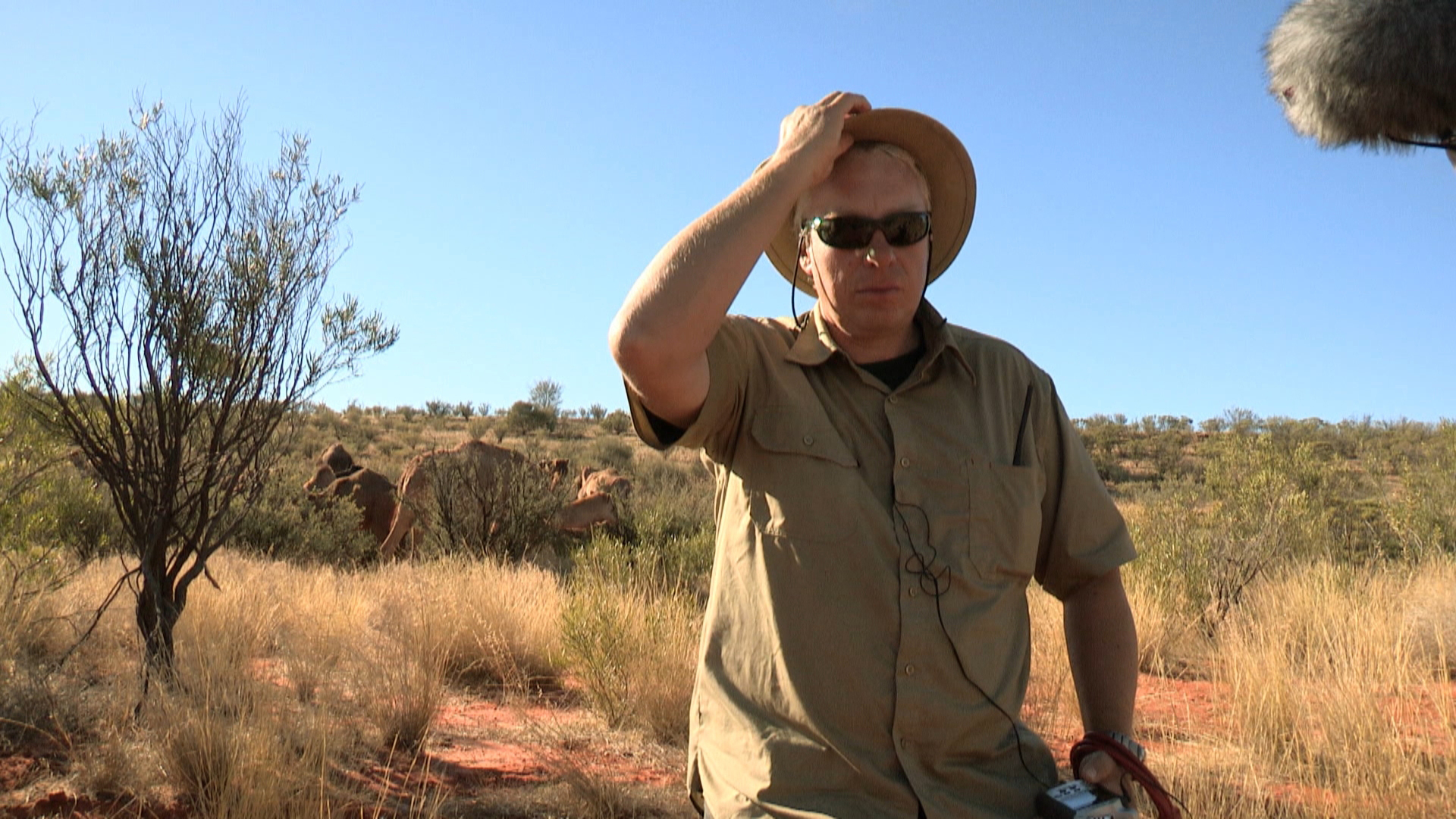 Unter der Sonne Australiens